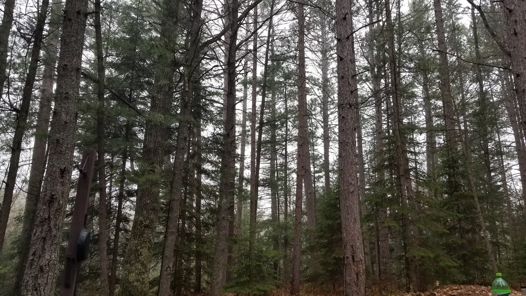 Indian River Campground