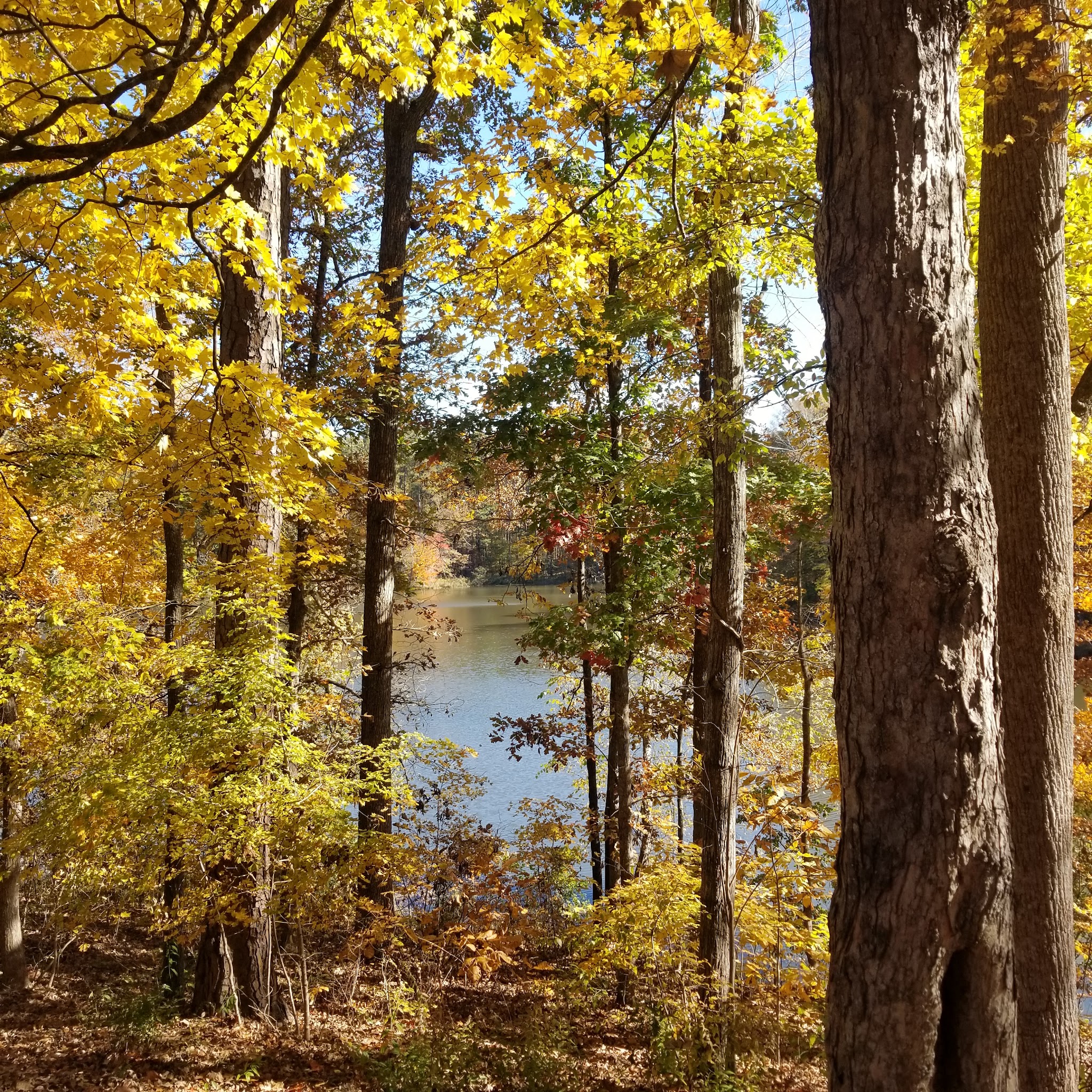 Indian Springs State Park