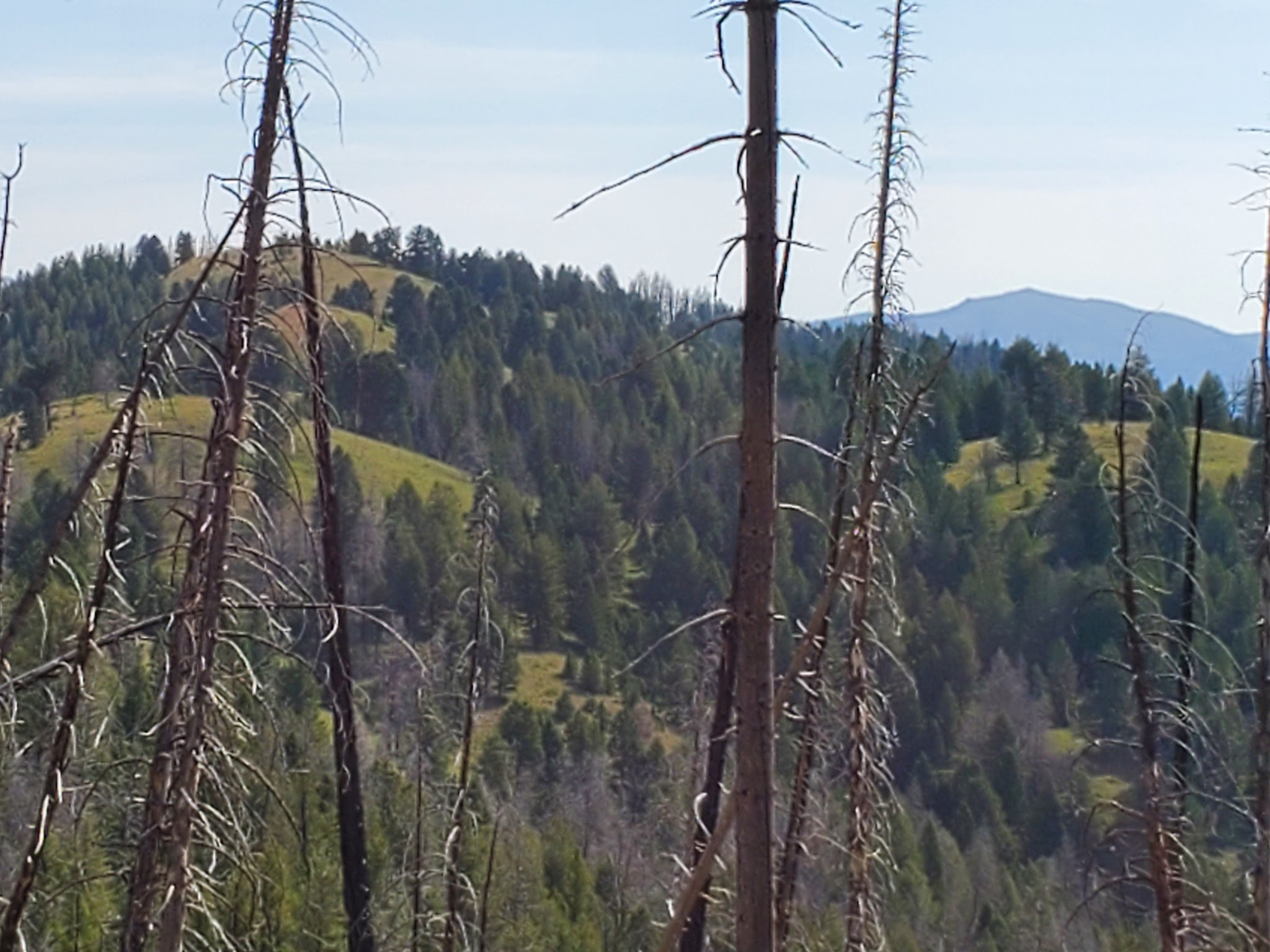Indian Springs Campsite