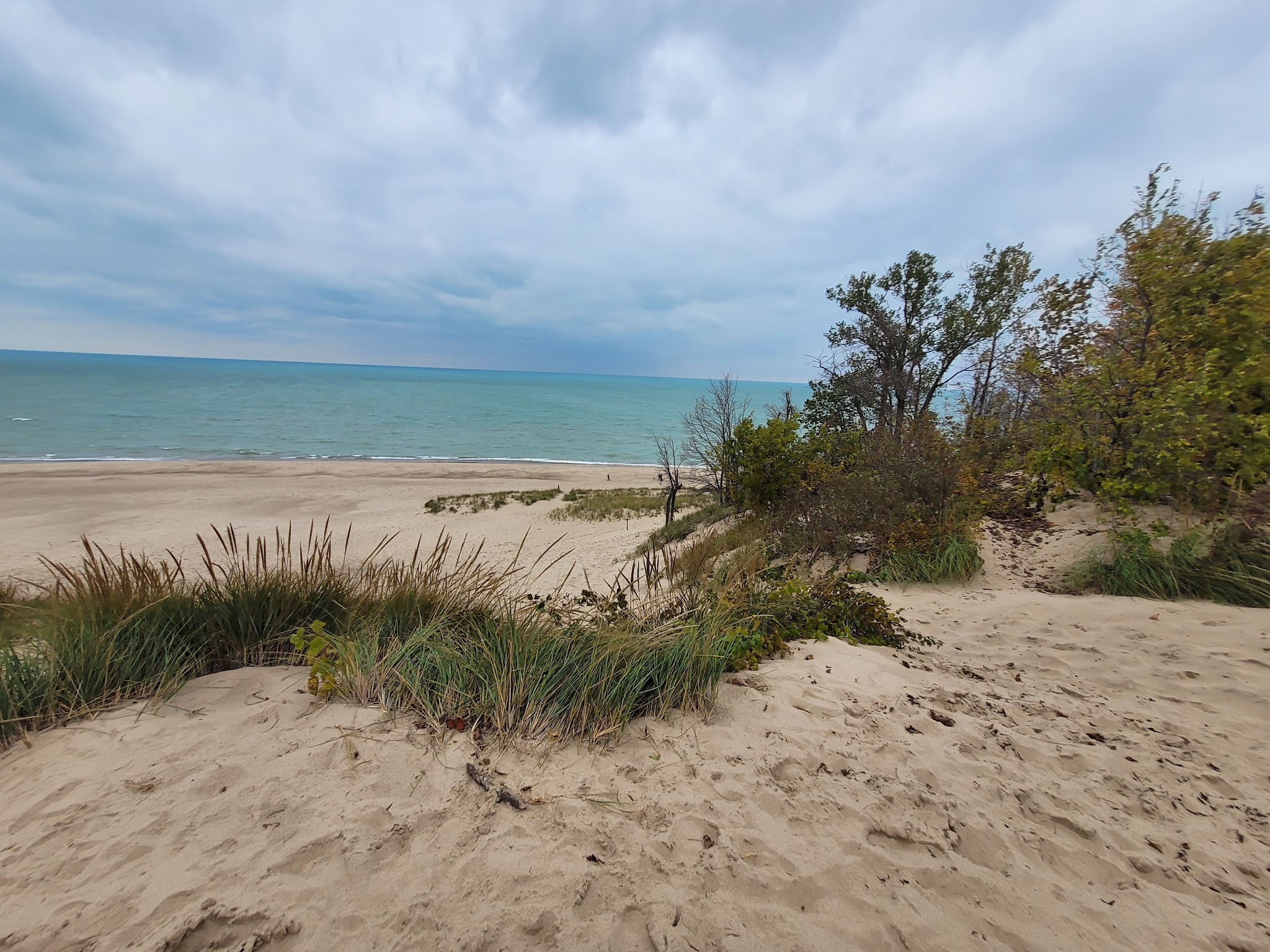 Indiana Dunes State Park