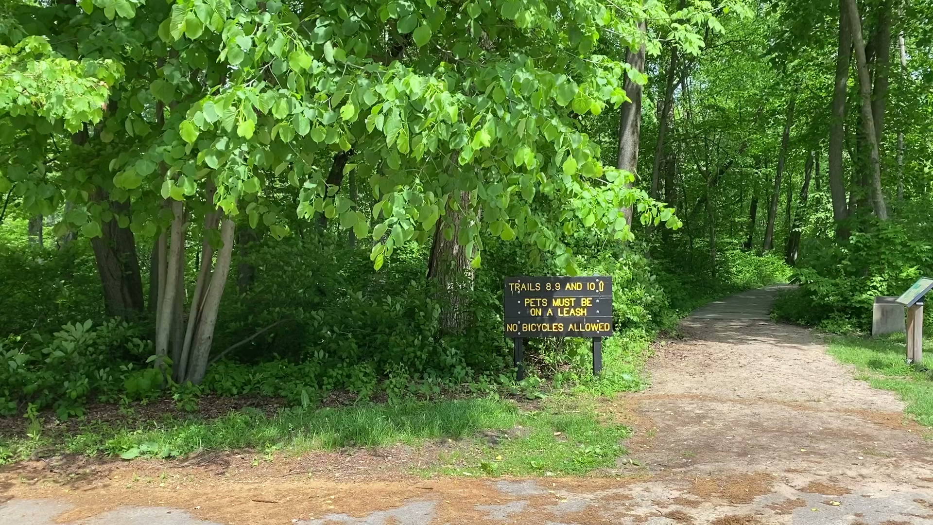 Indiana Dunes State Park