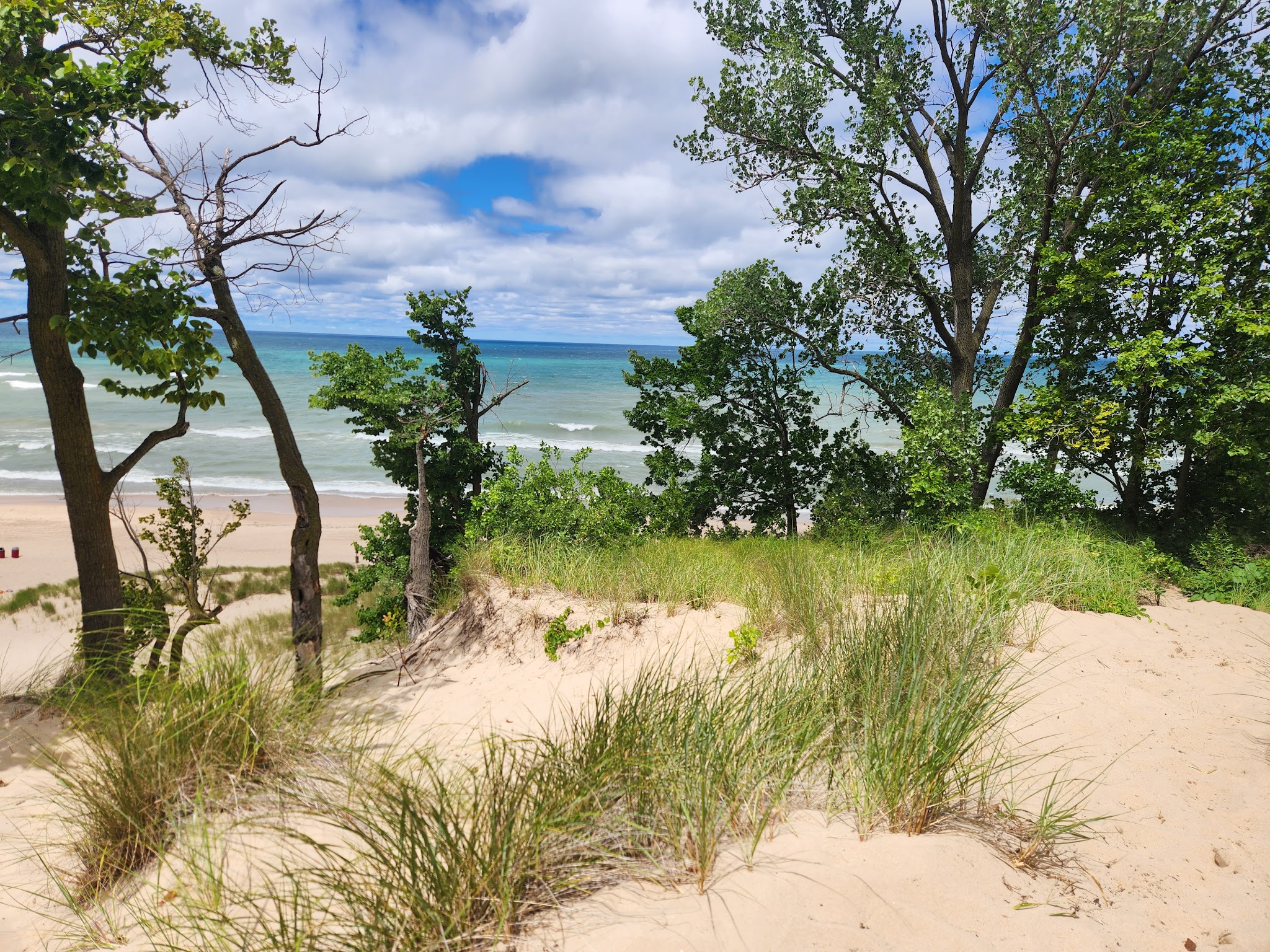 Indiana Dunes State Park