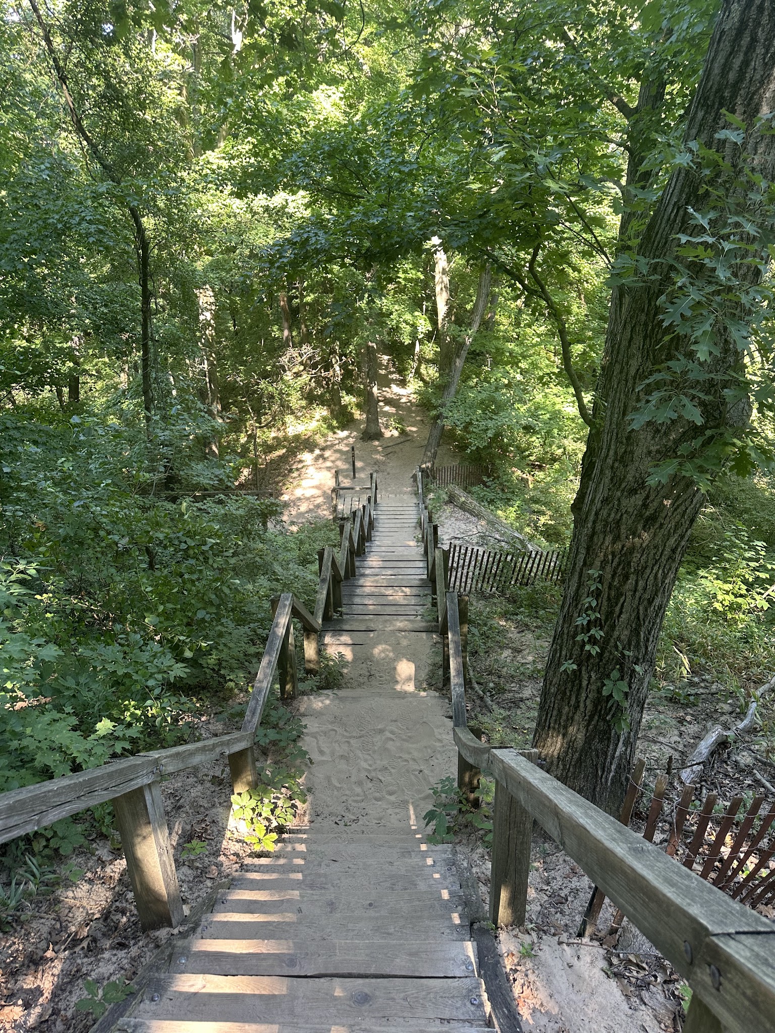 Indiana Dunes State Park