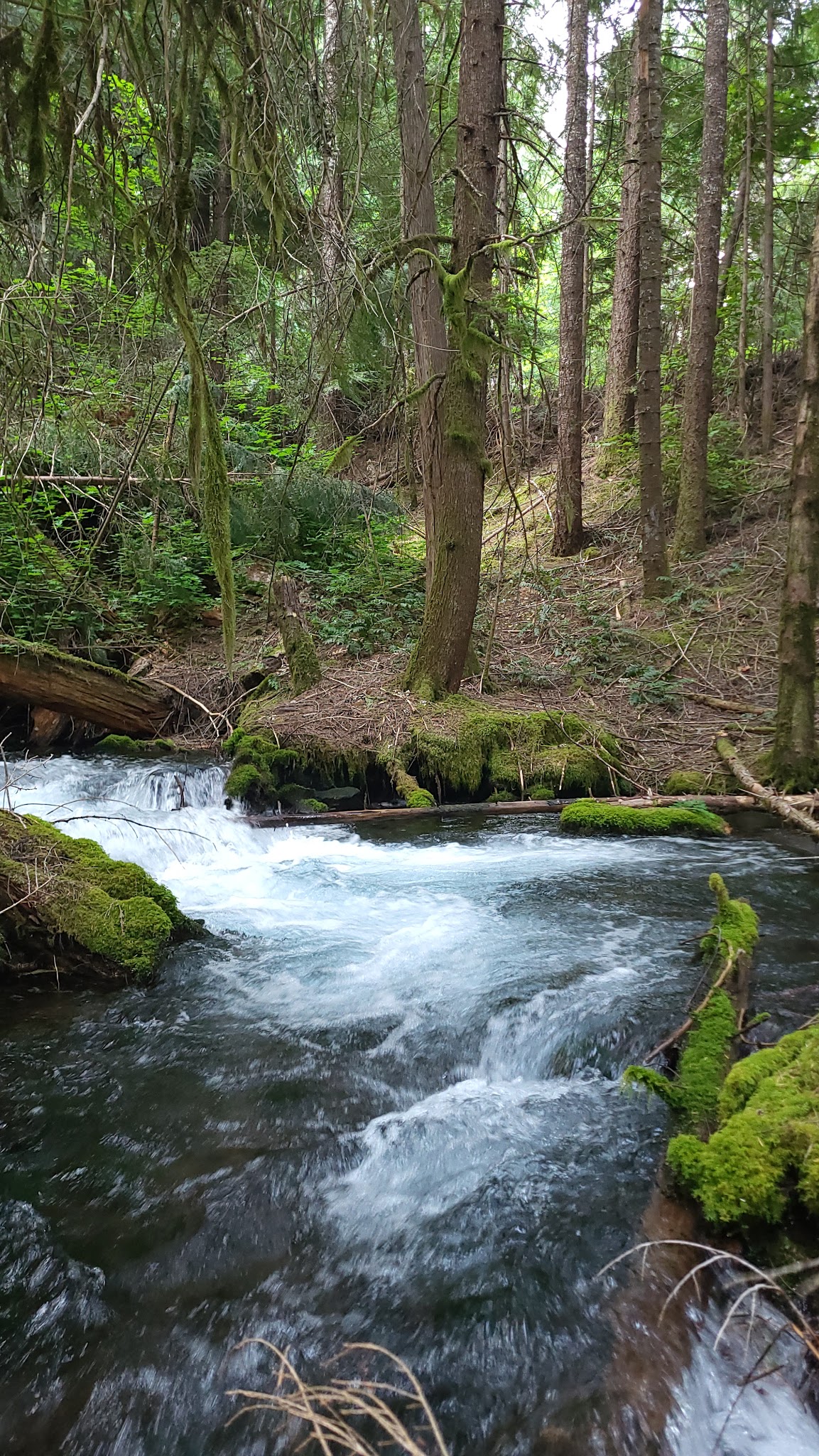 Indigo Springs Campground