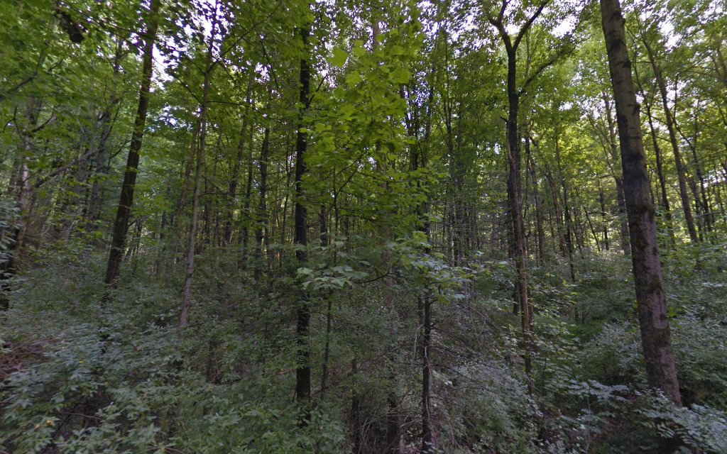 Interlake State Recreation Area