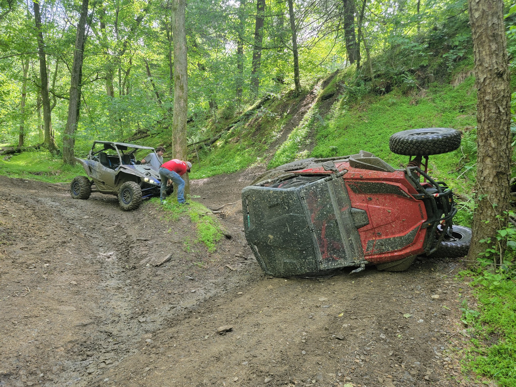 Interlake State Recreation Area