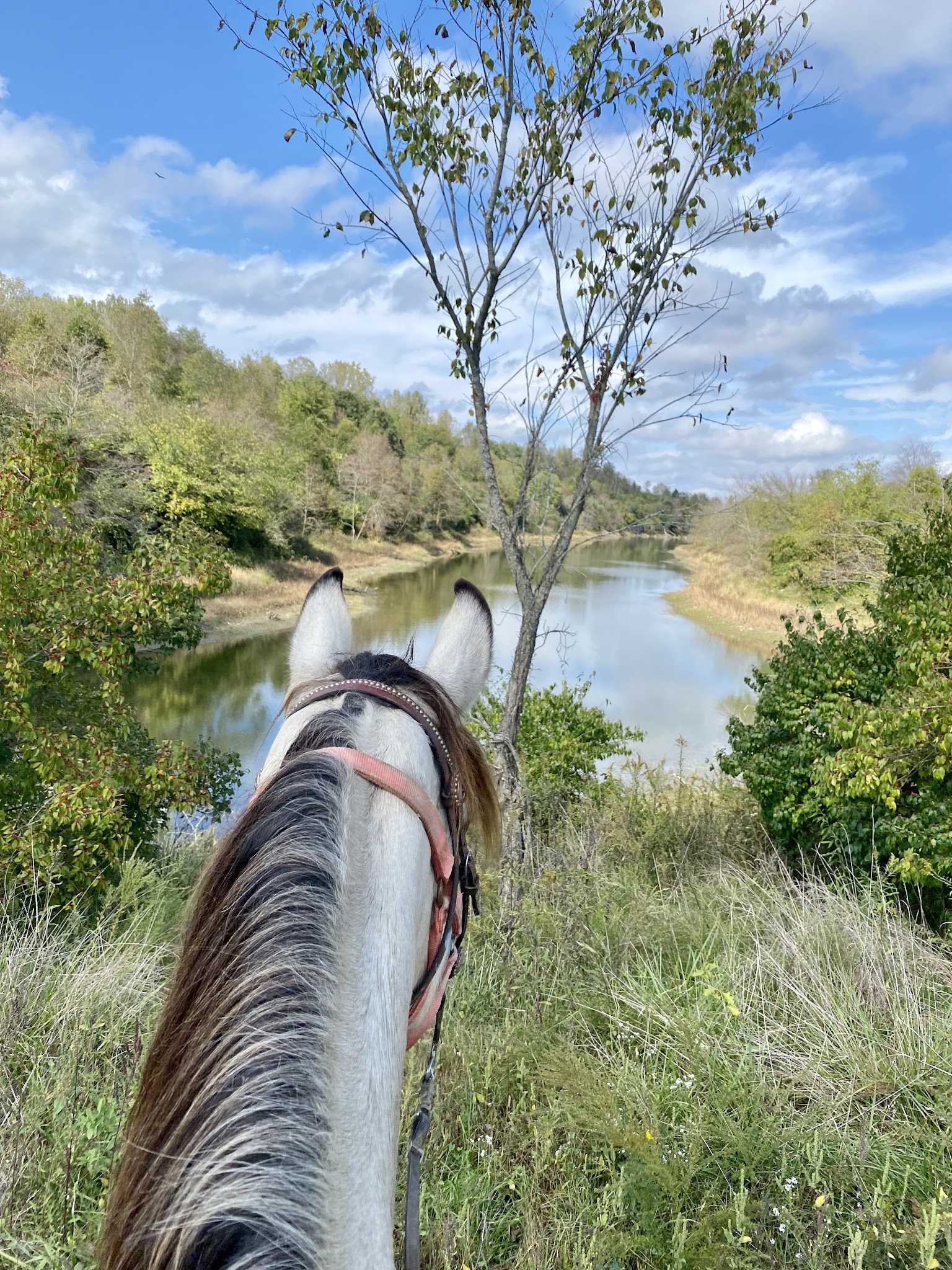 Interlake State Recreation Area
