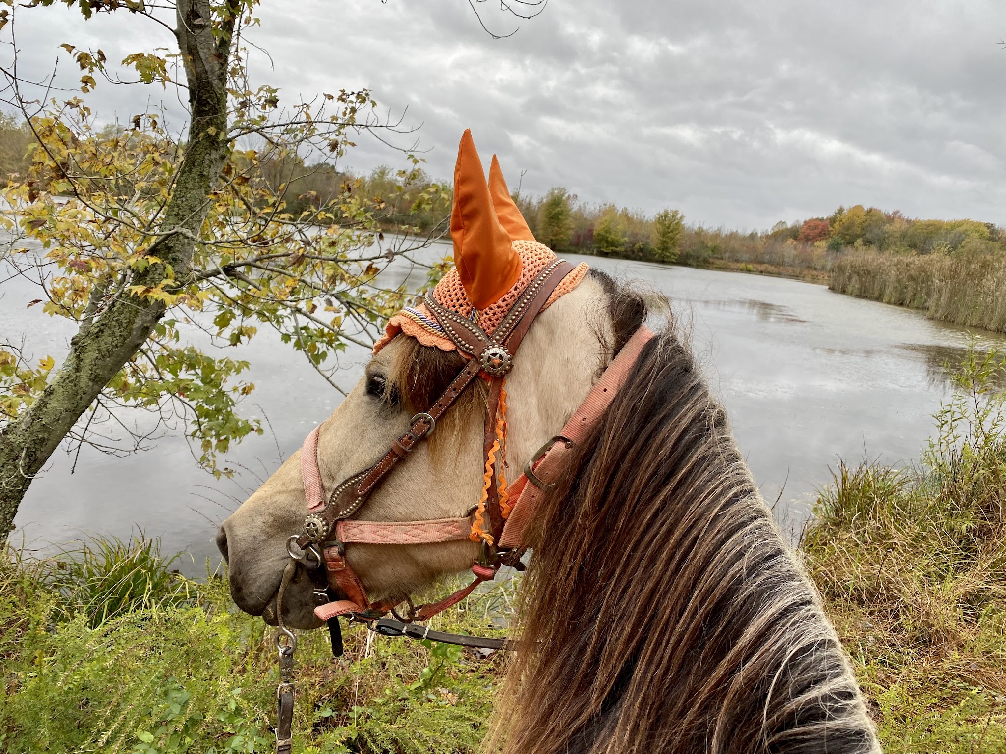 Interlake State Recreation Area