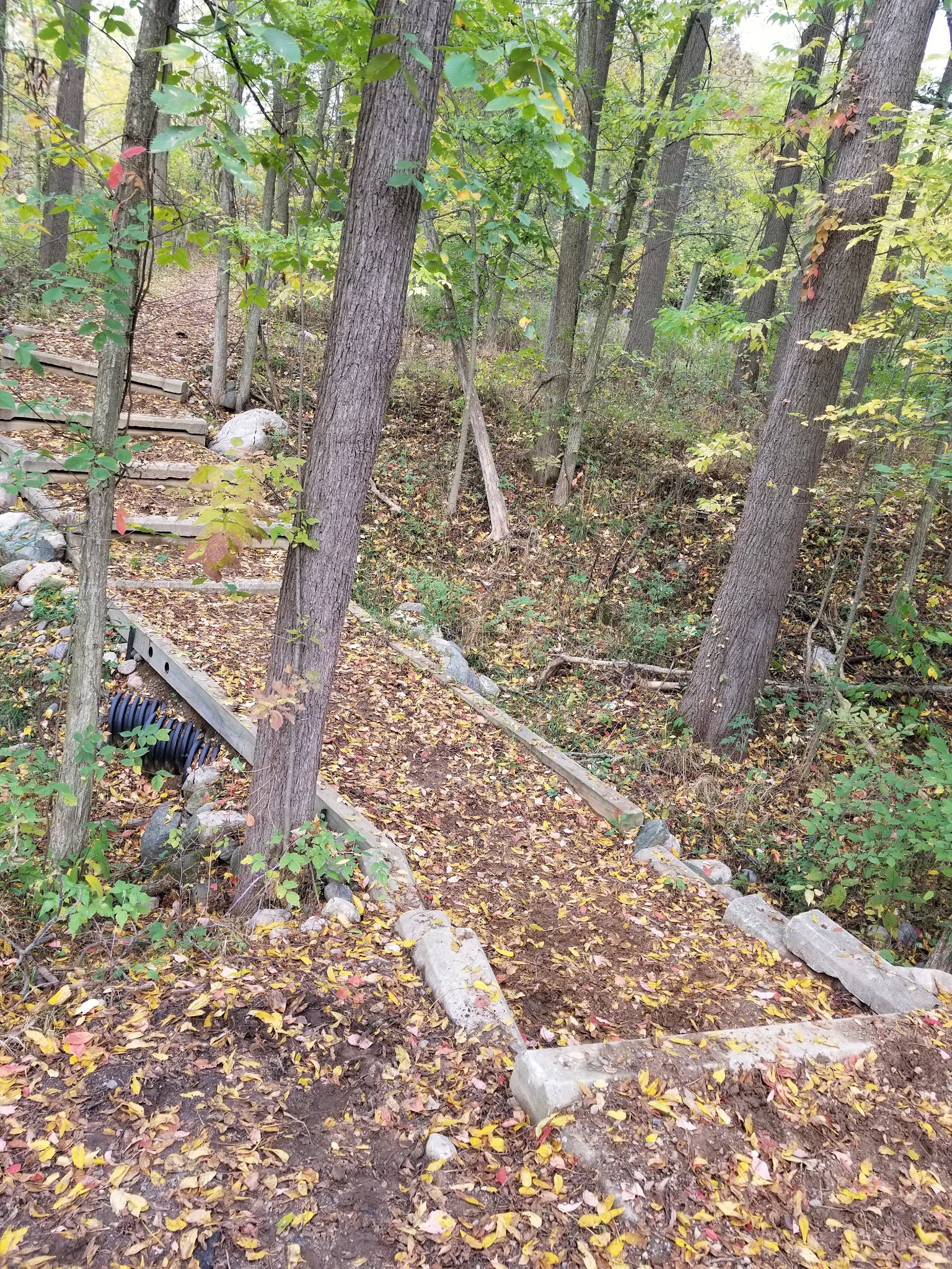 Ionia Equestrian Campground