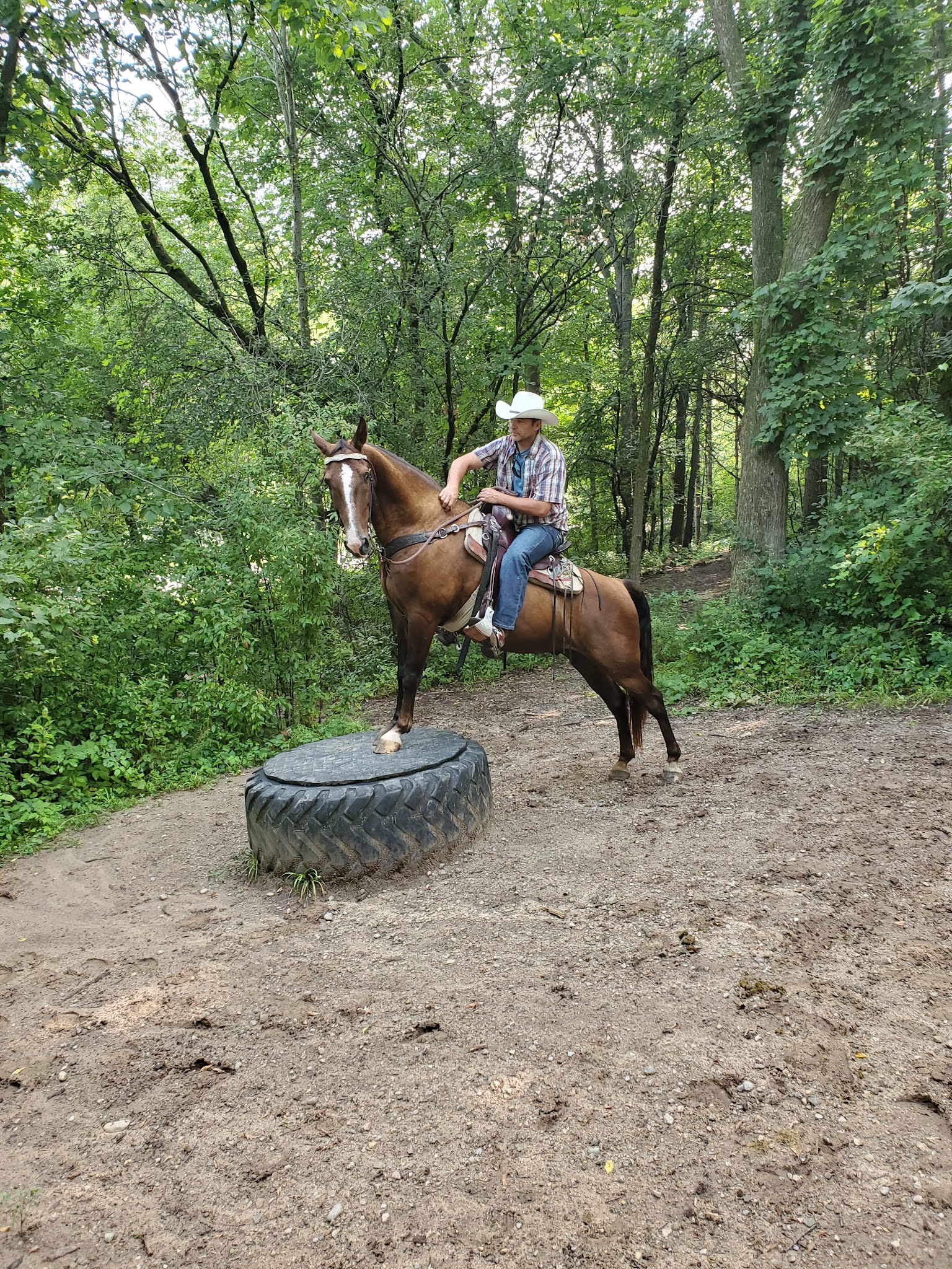Ionia Equestrian Campground