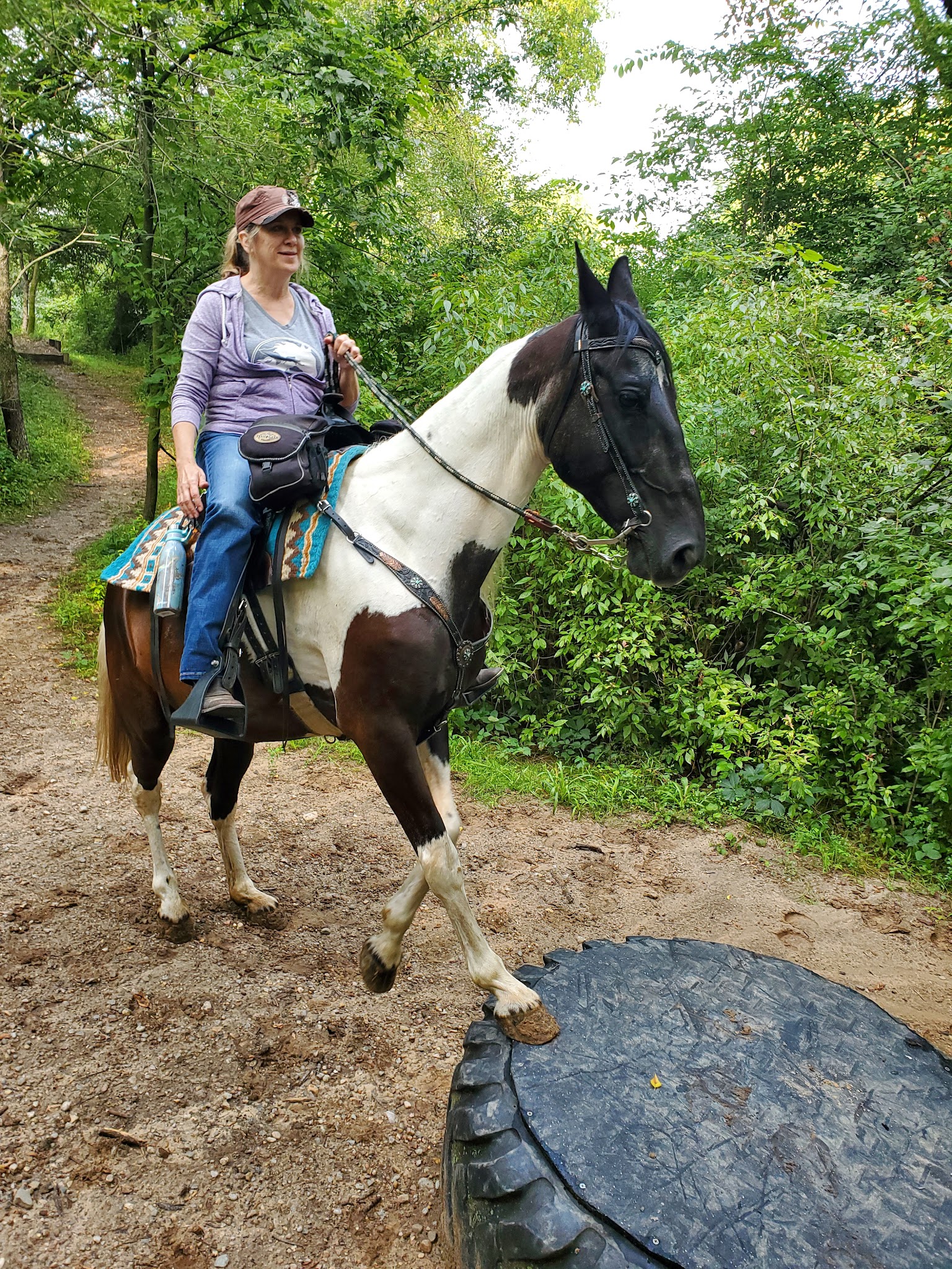 Ionia Equestrian Campground