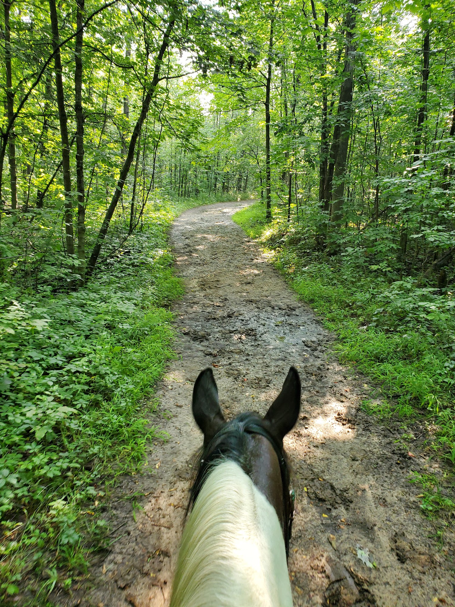 Ionia Equestrian Campground