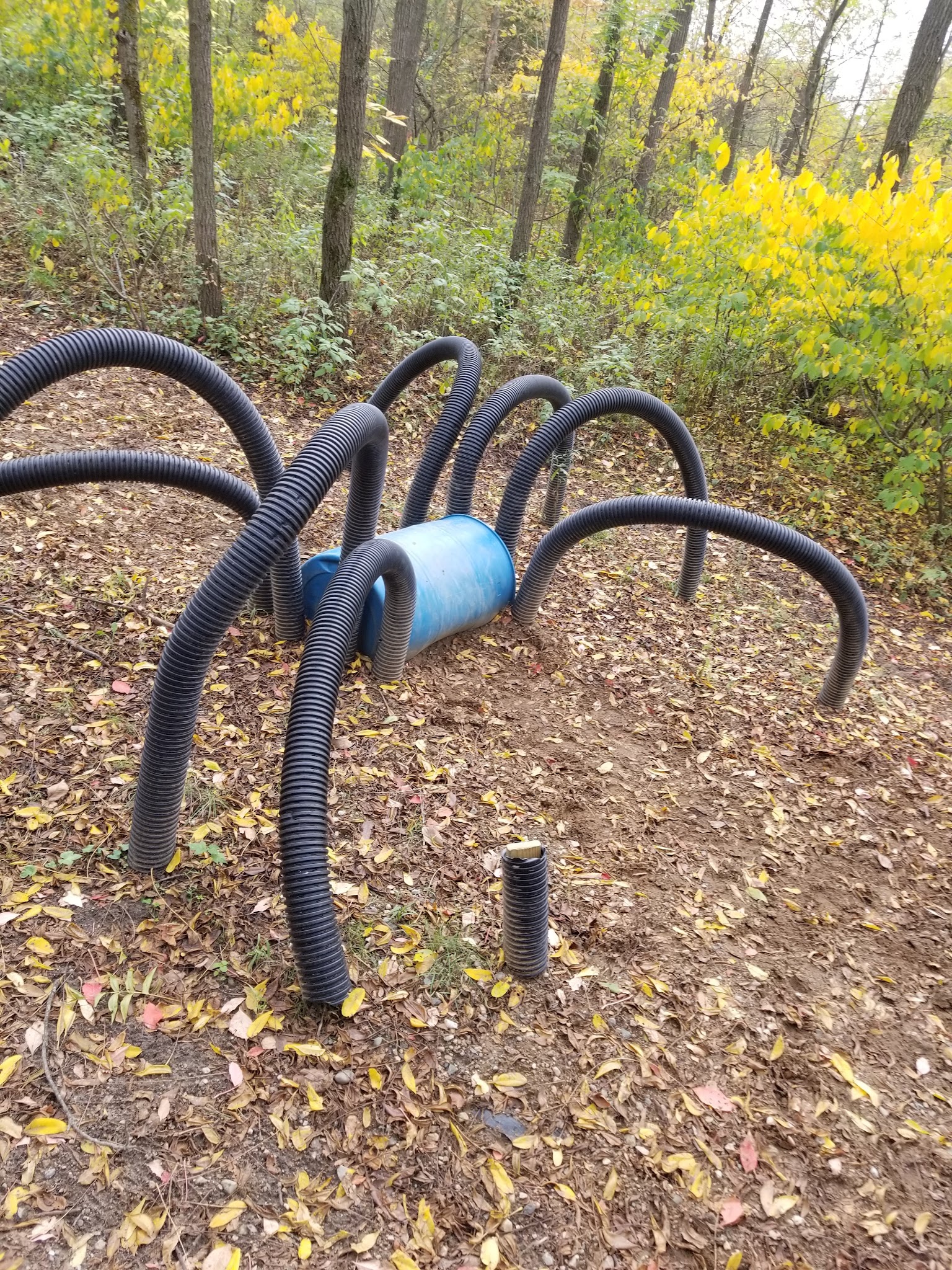 Ionia Equestrian Campground