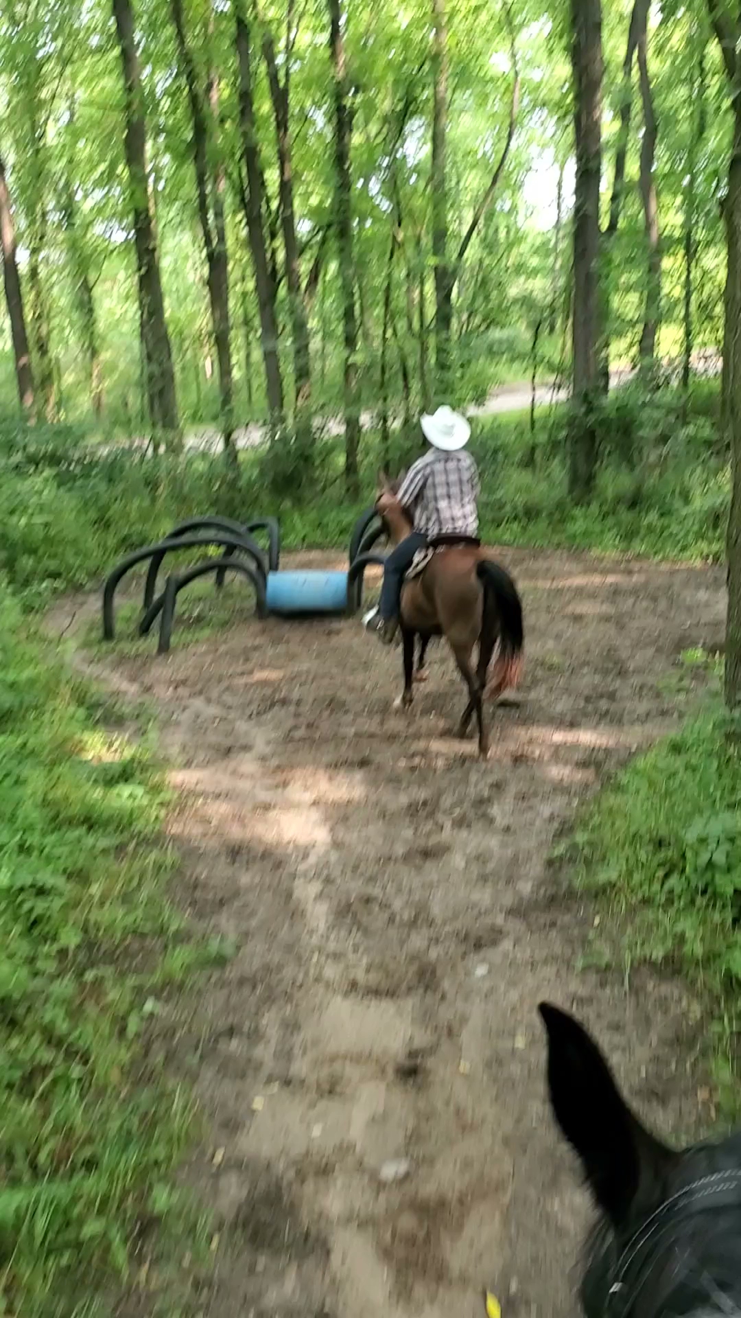 Ionia Equestrian Campground