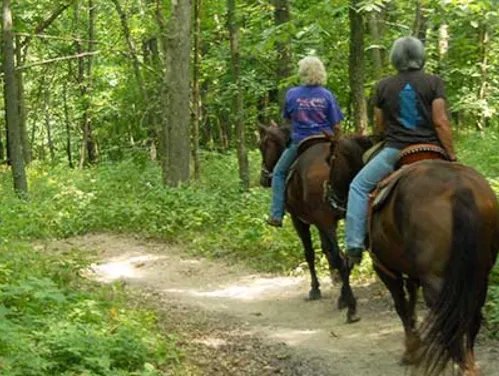 Nine Eagles State Park