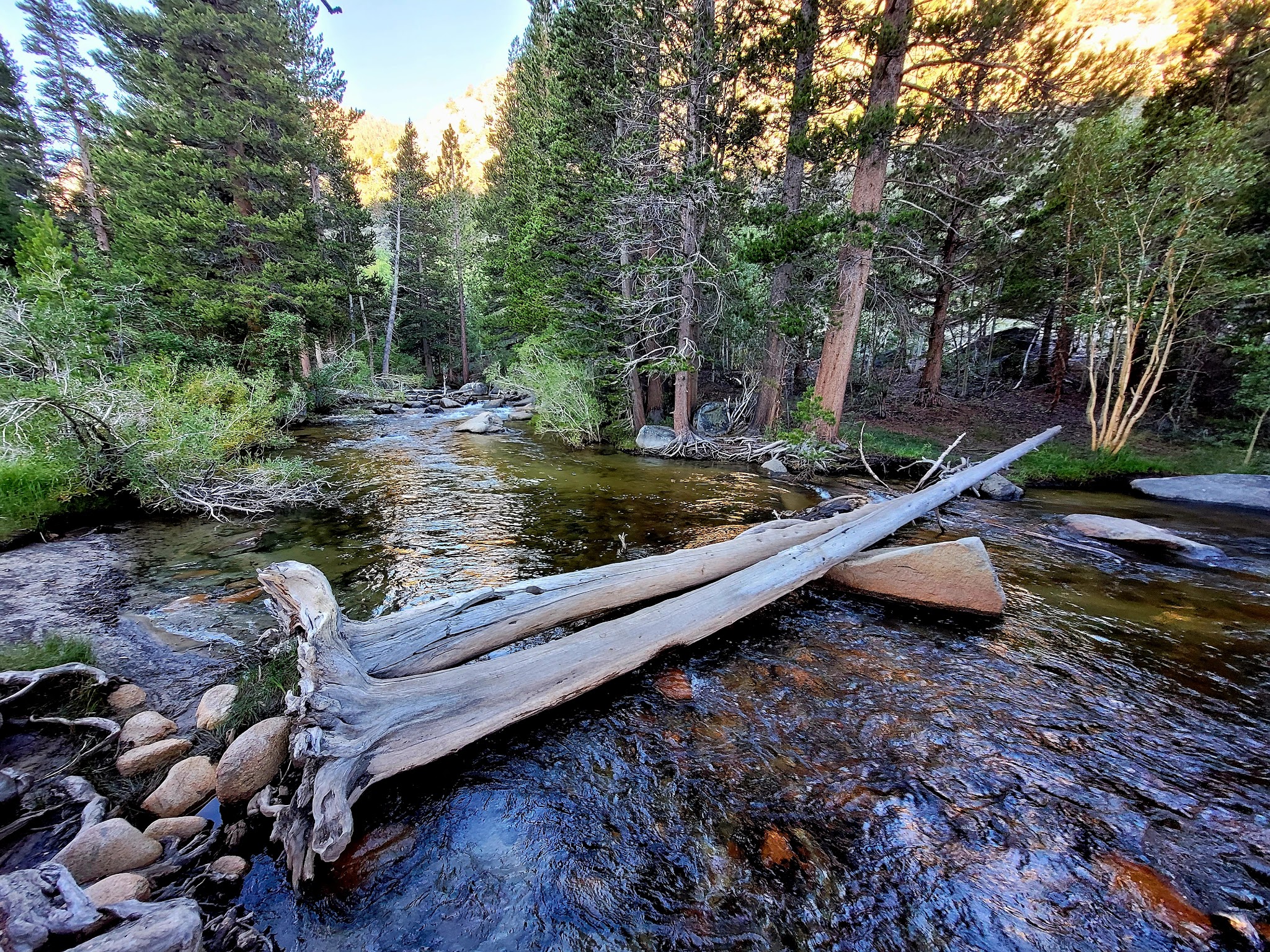 Iris Meadow Campground
