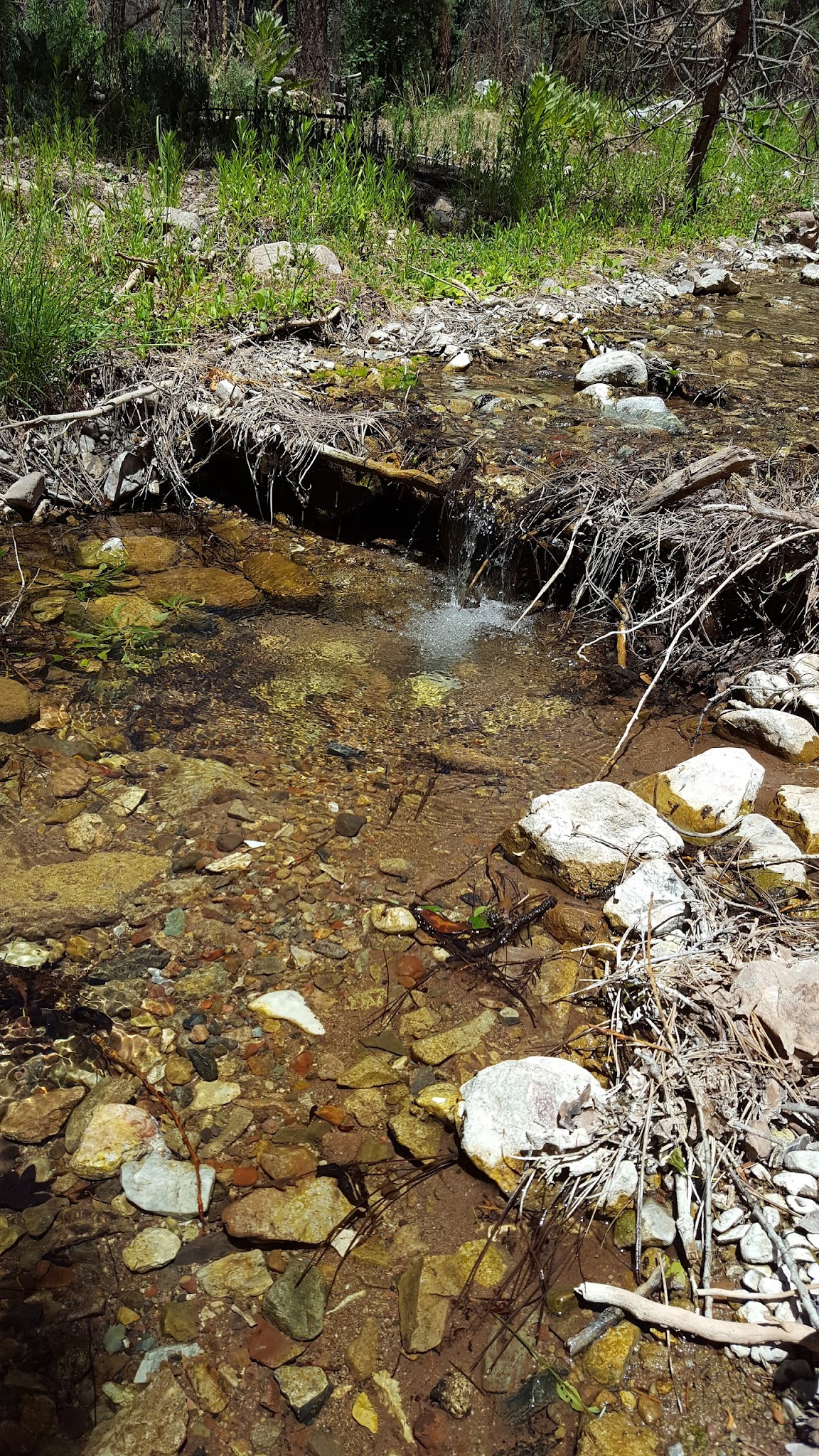 Iron Creek Campground