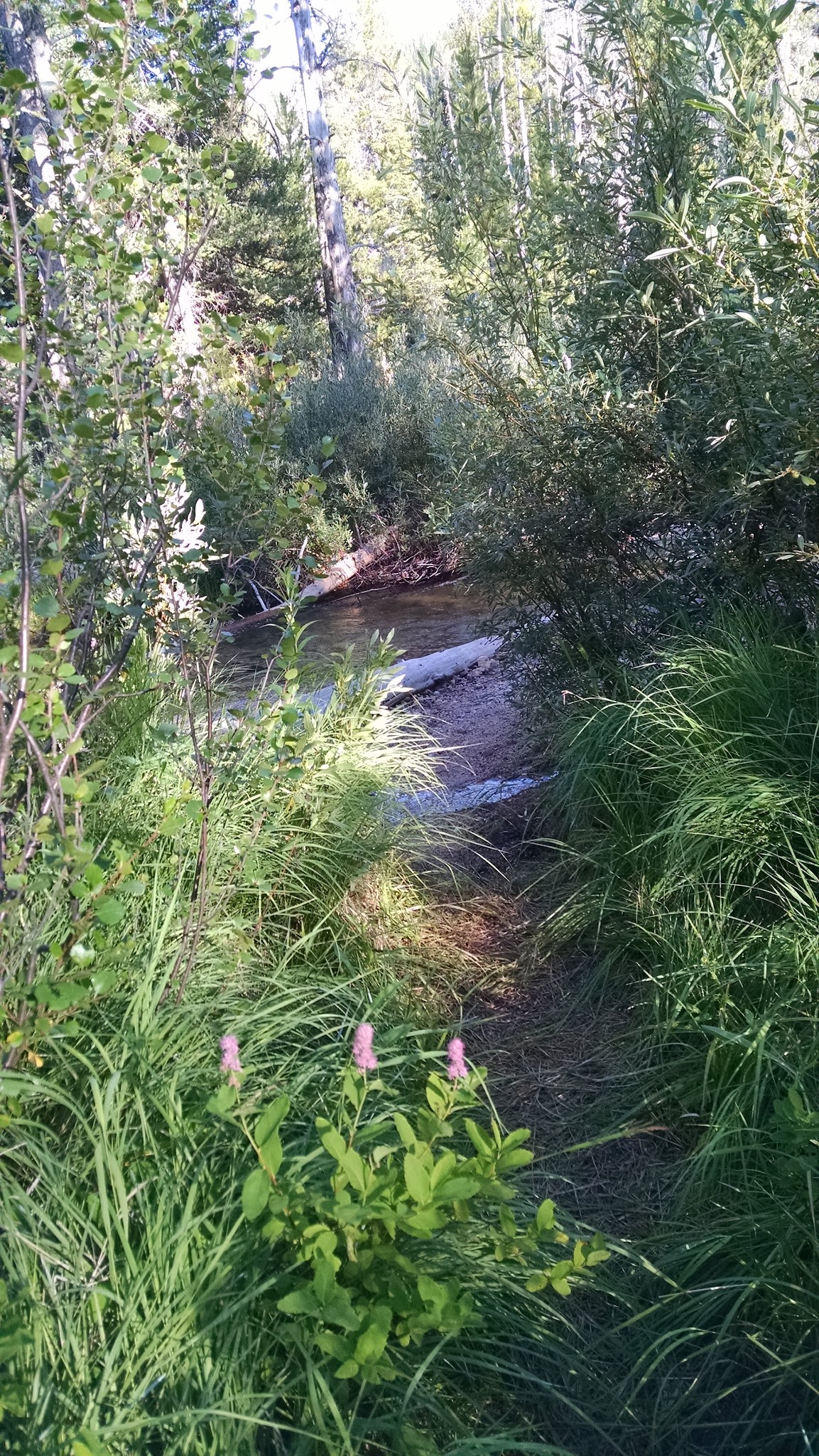 Iron Creek Campground (Id)