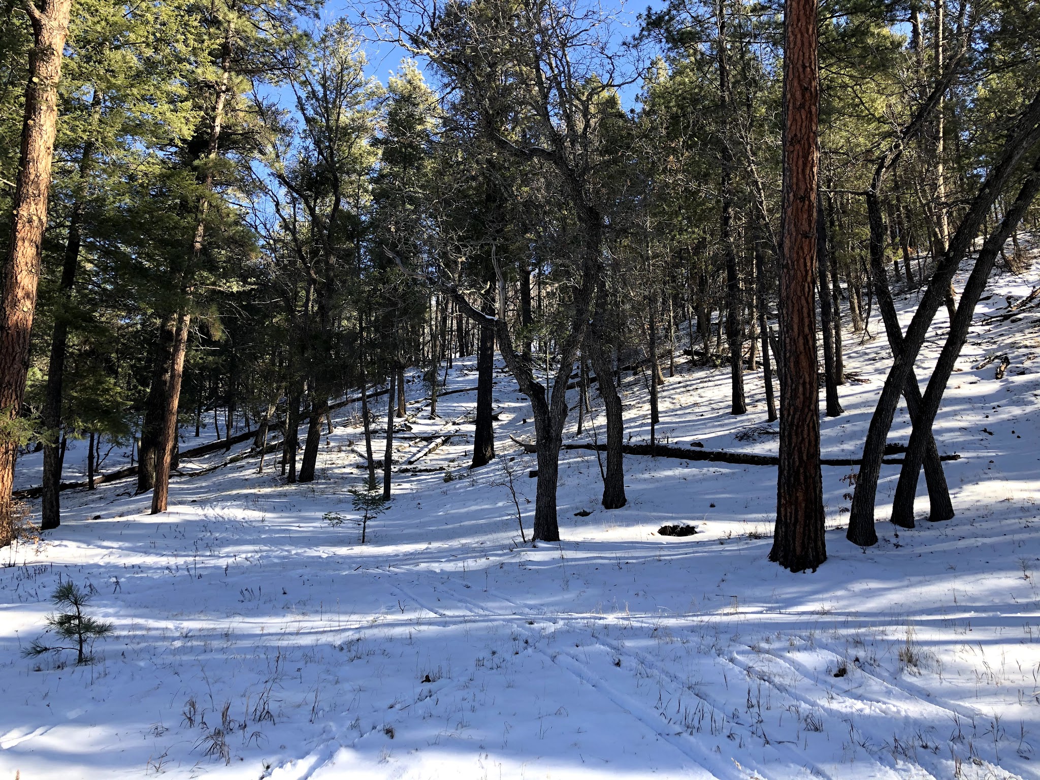 Iron Creek Campground