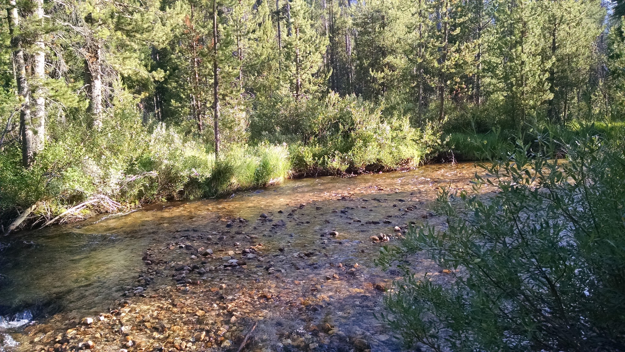 Iron Creek Campground (Id)