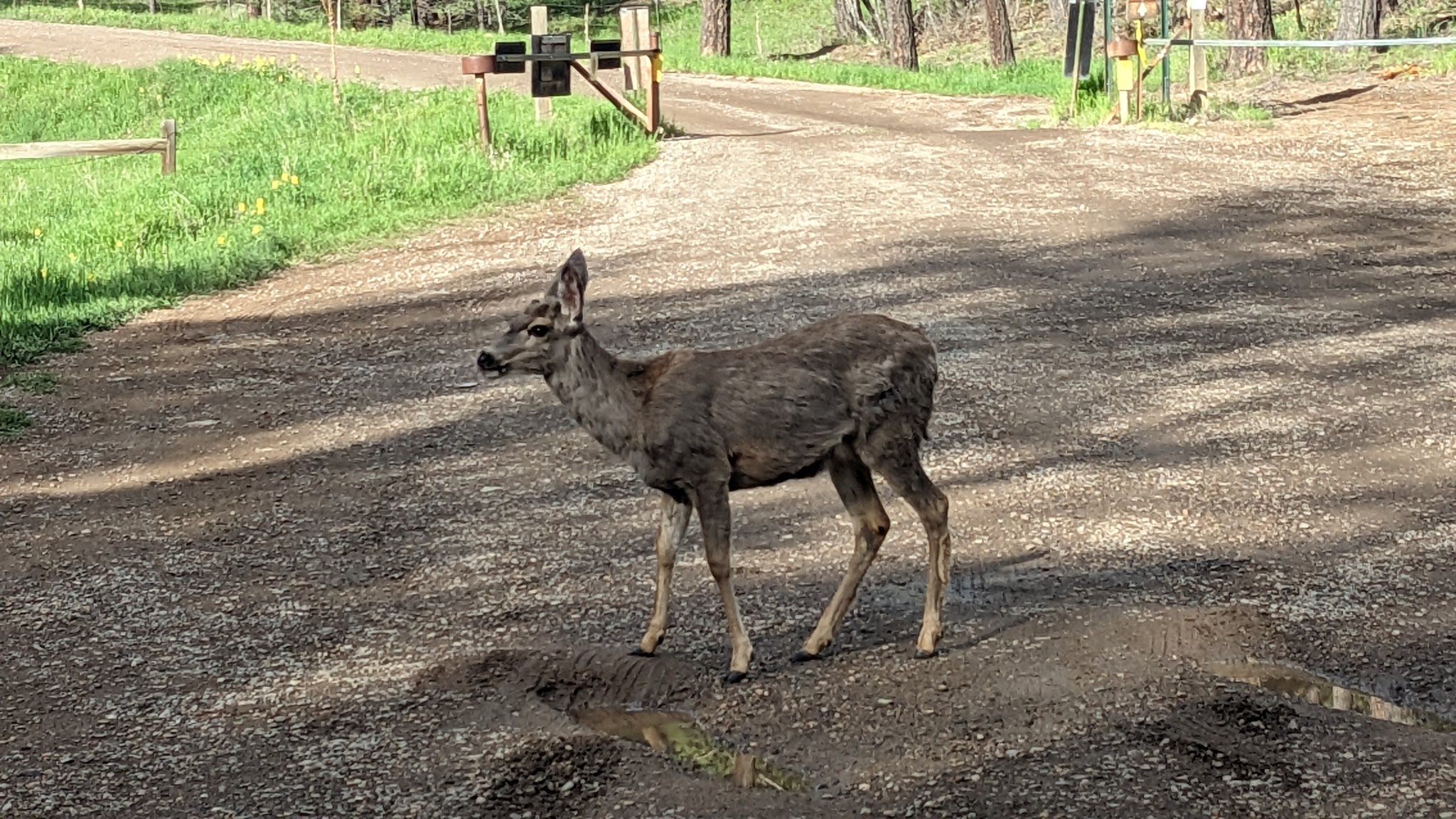 Iron Gate Campground