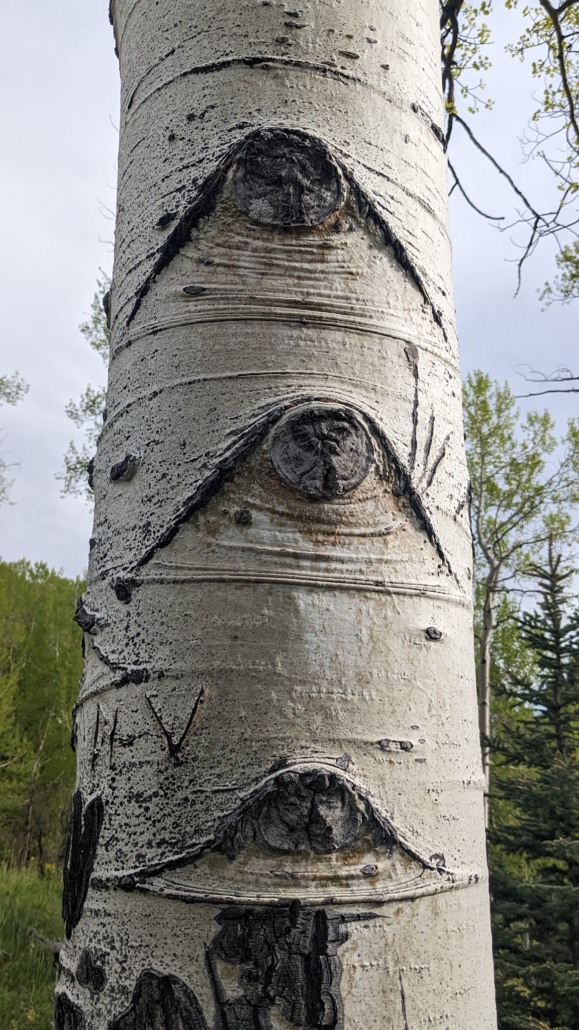 Iron Gate Campground