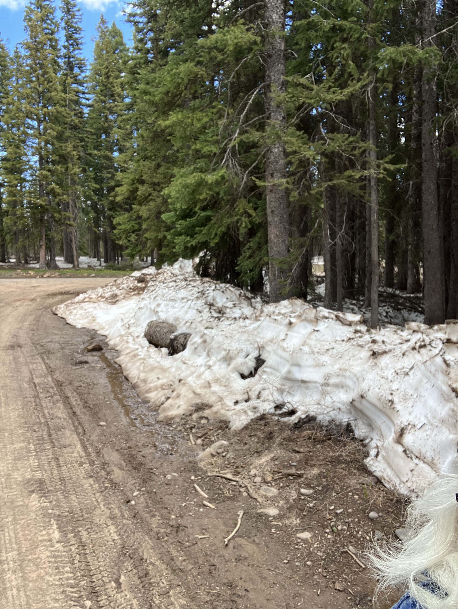 Iron Springs Campground - Ouray Rd