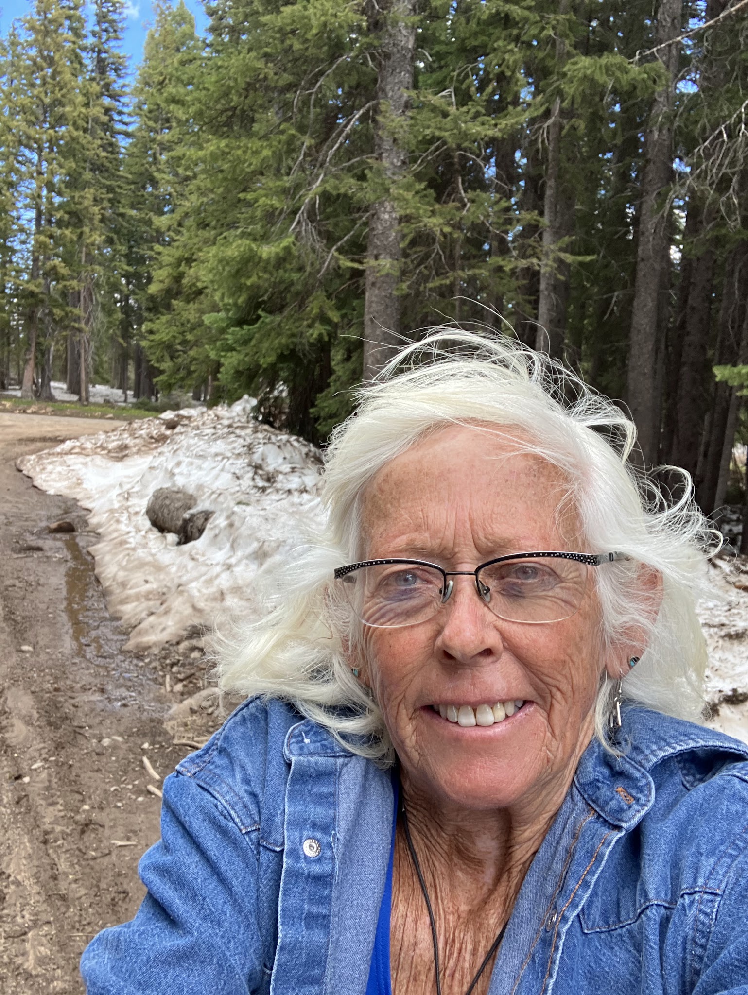Iron Springs Campground - Ouray Rd