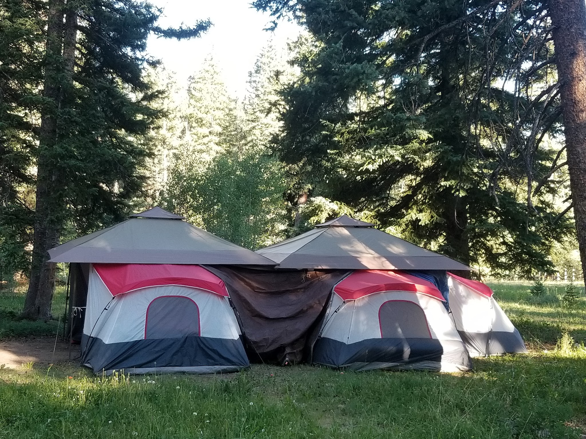 Iron Springs Campground - Ouray Rd