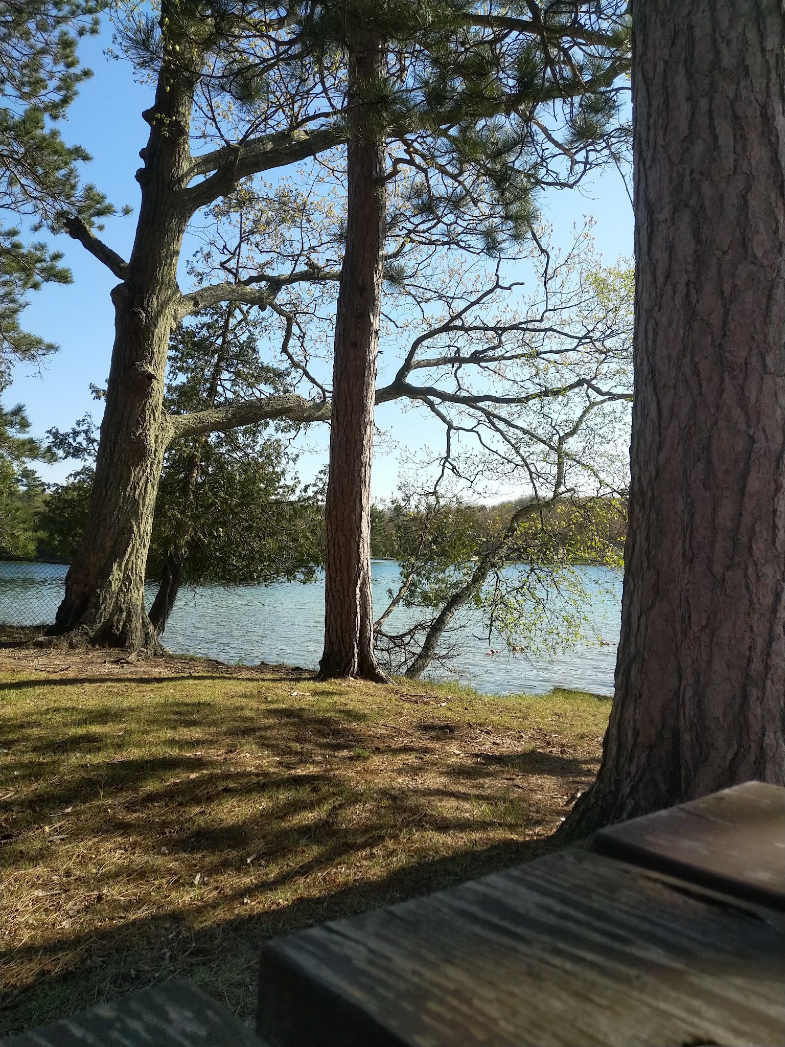 Island Lake Campground