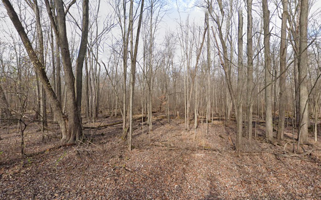 Island Lake Group Use Sites Camp