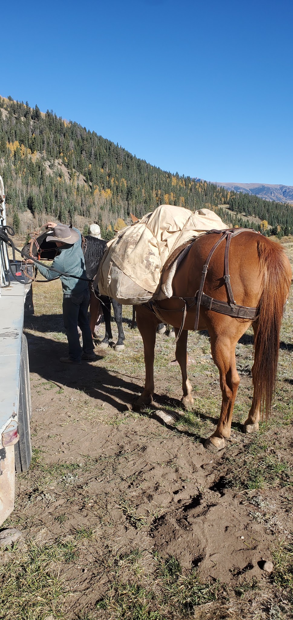 Ivy Creek Campground