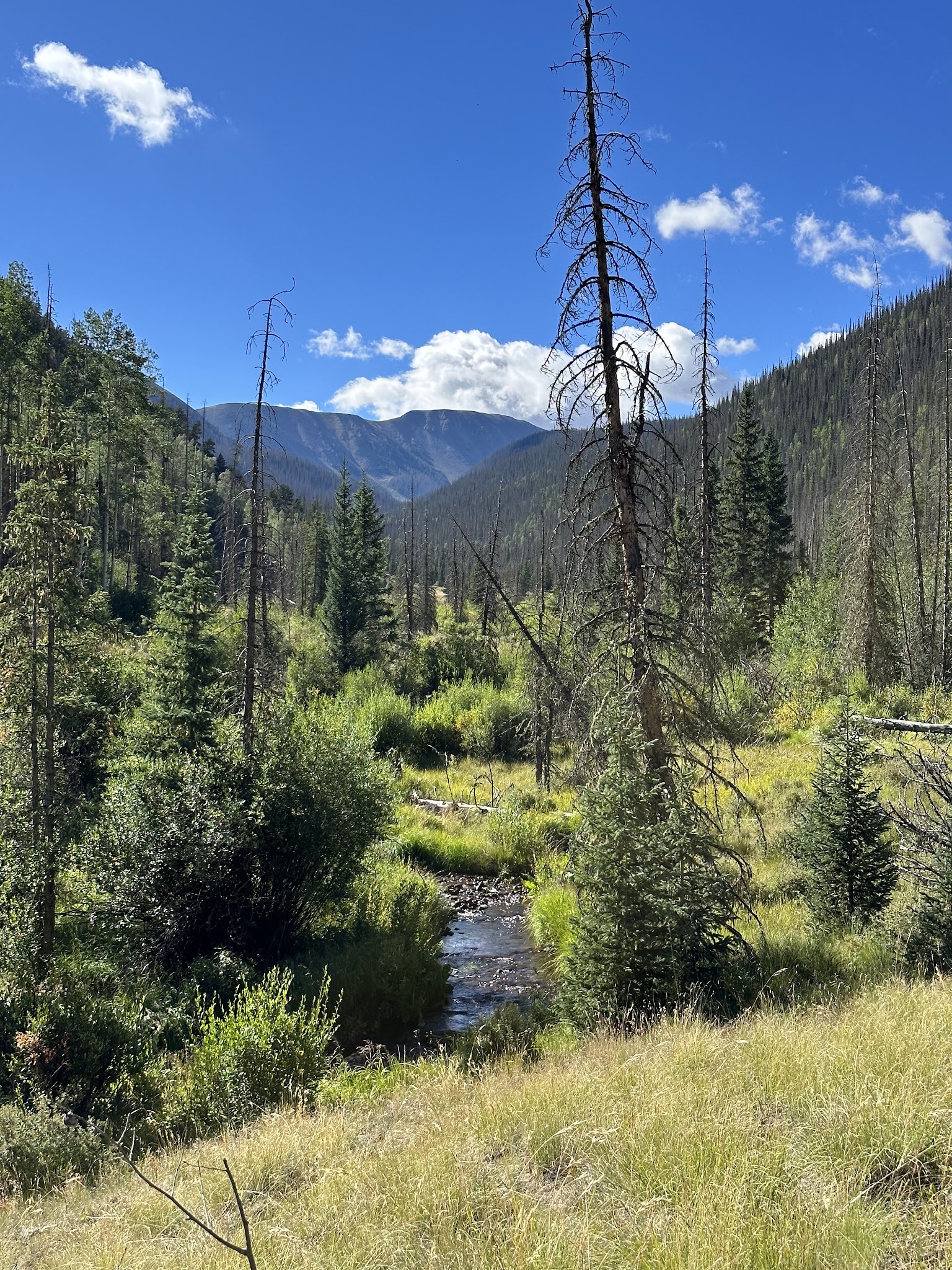 Ivy Creek Campground