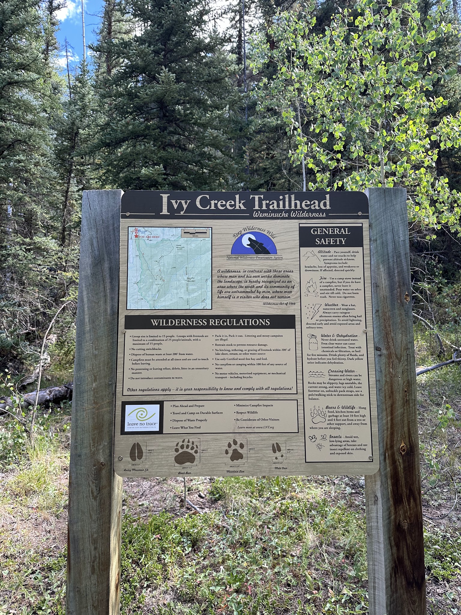 Ivy Creek Campground