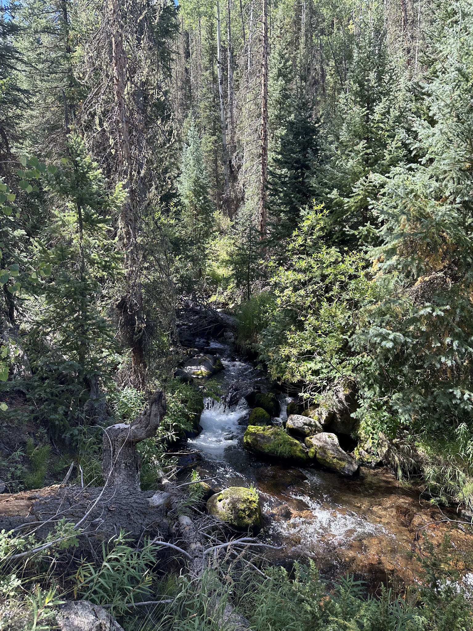 Ivy Creek Campground