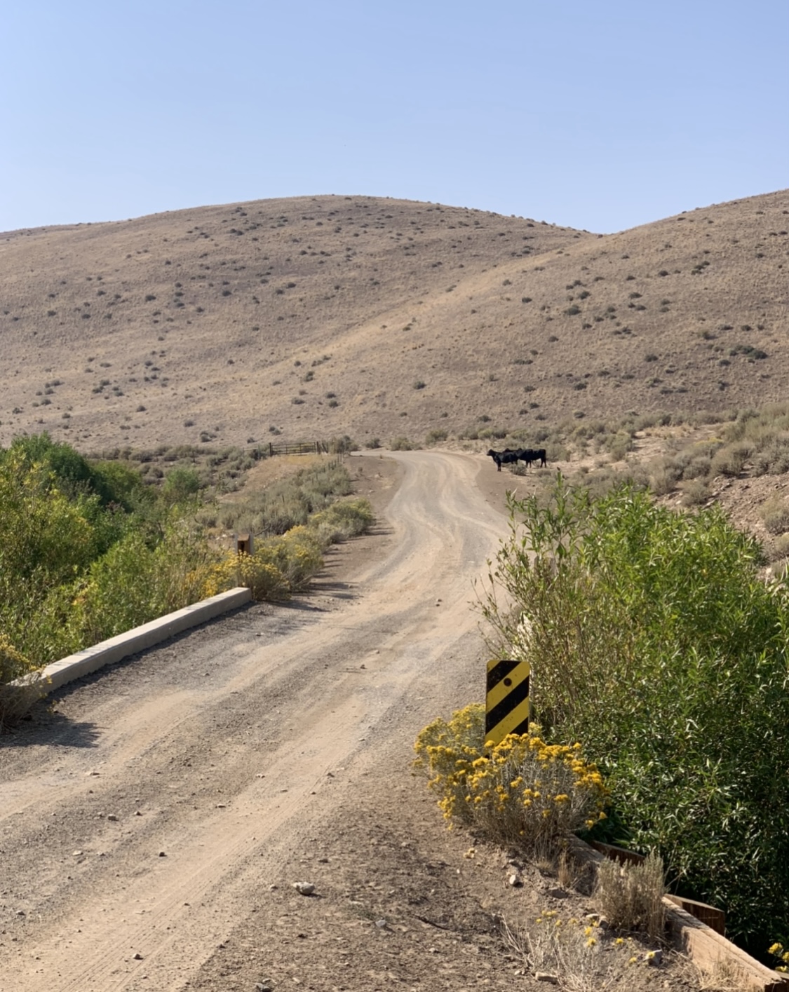 Jack Creek Campground