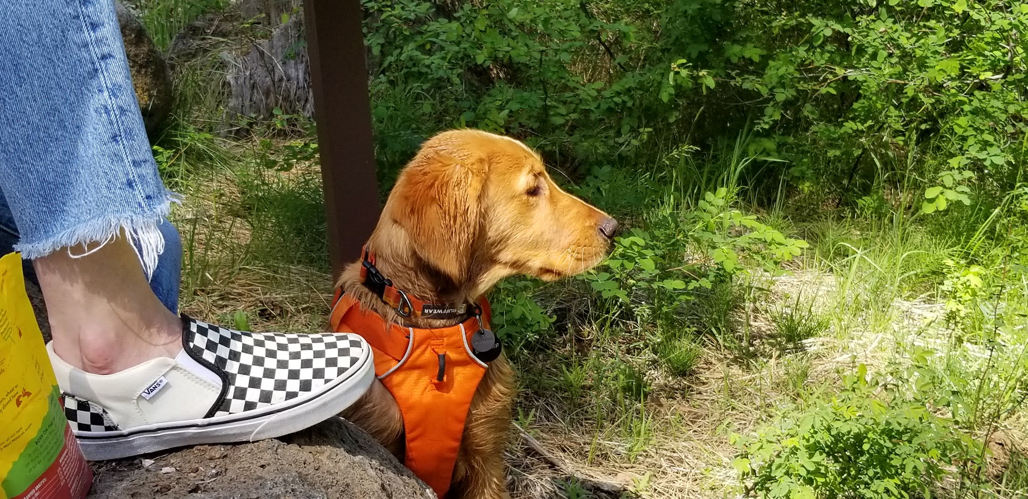 Jack Creek Campground