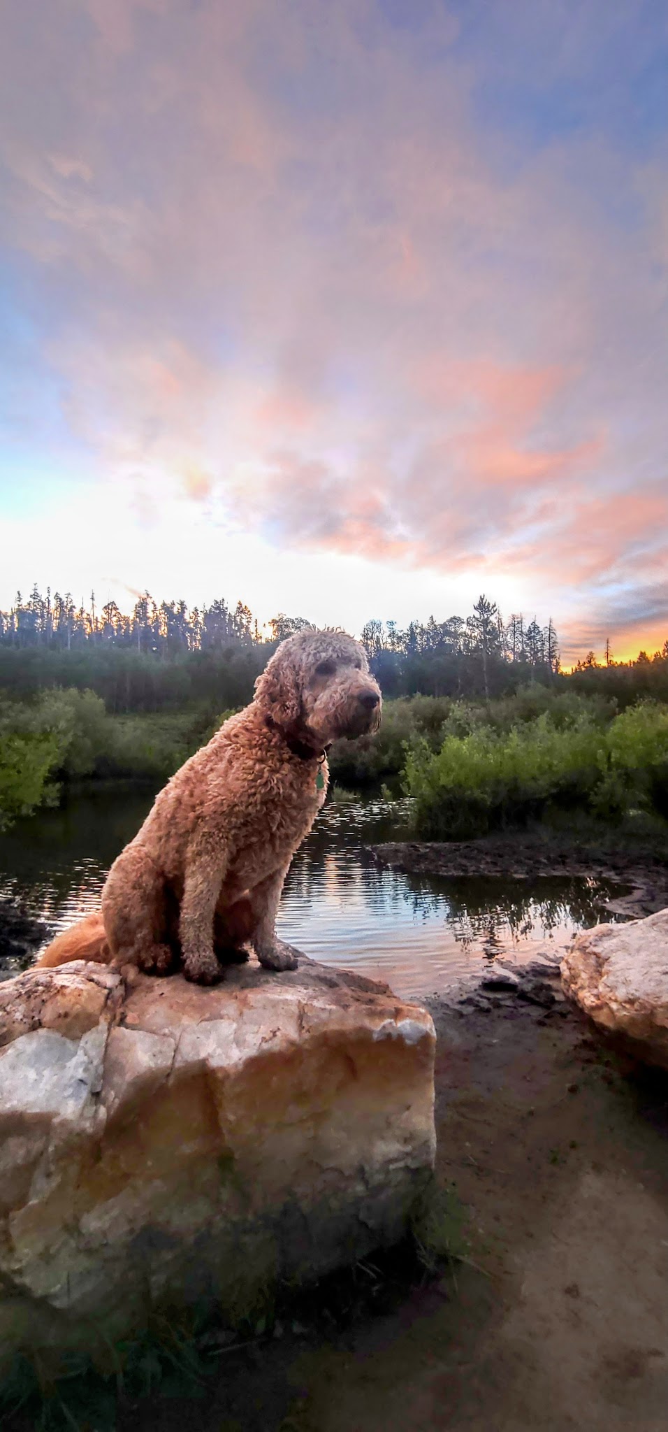 Jack Creek Campground (Wy)