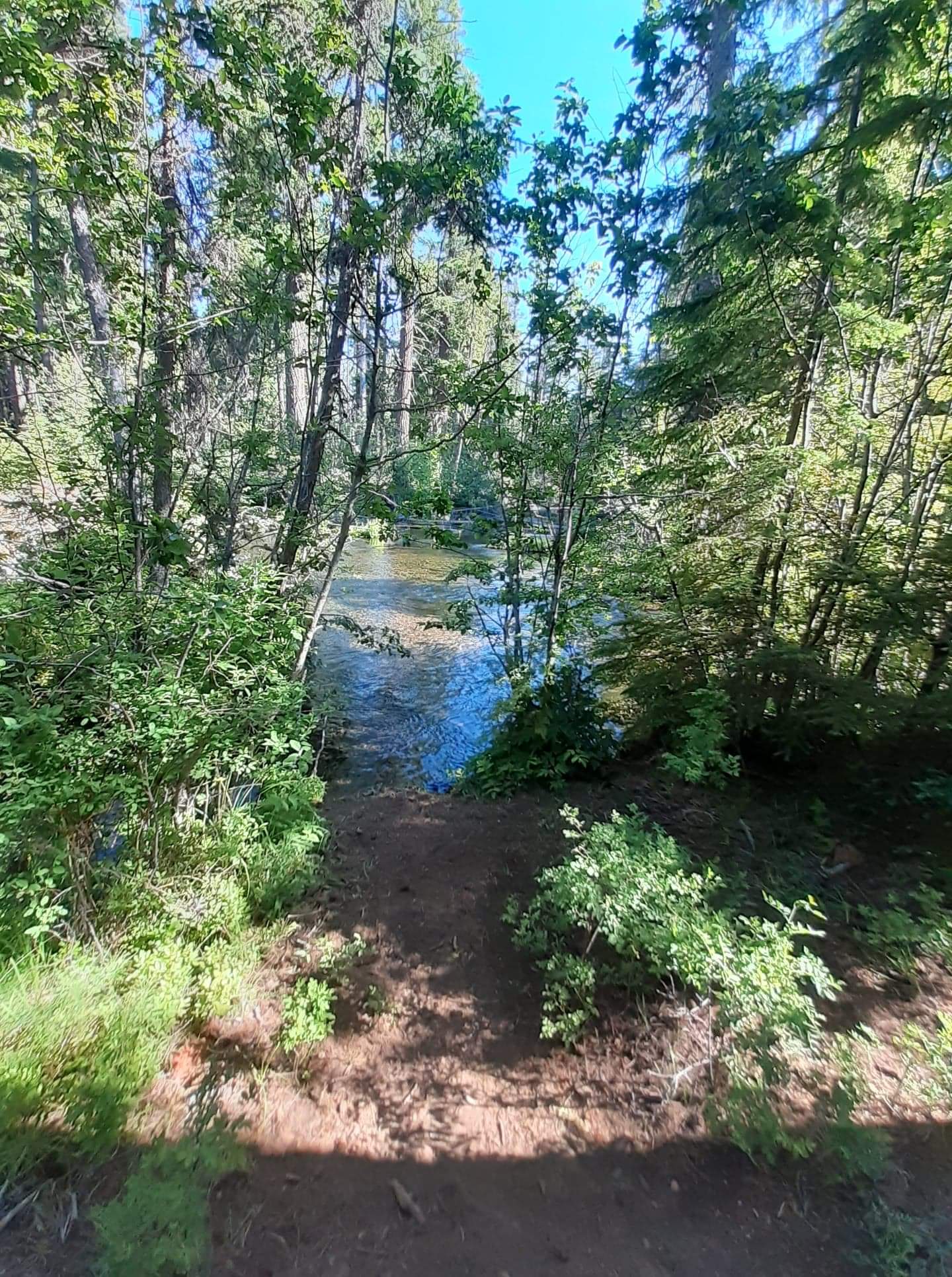 Jack Creek Campground