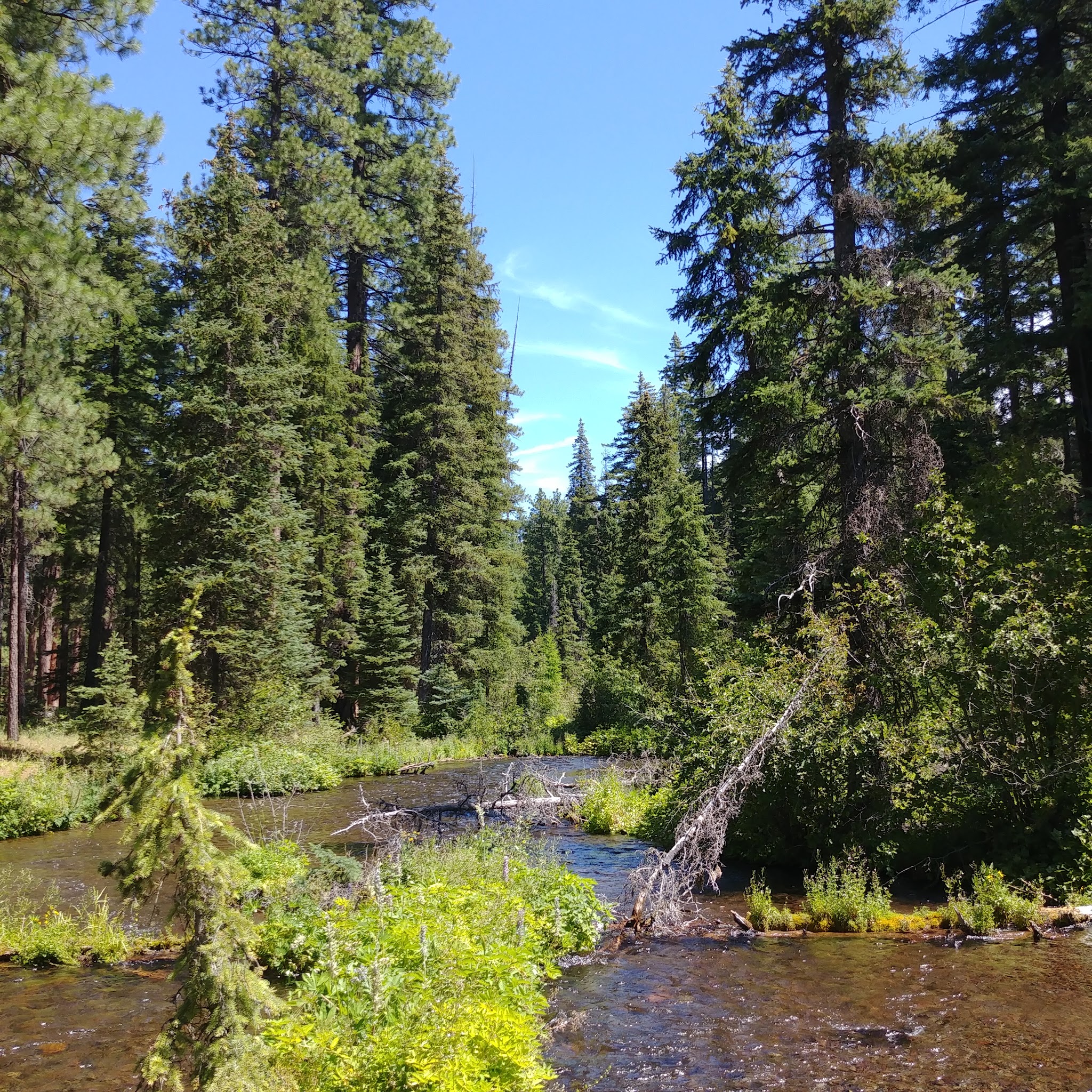 Jack Creek Campground