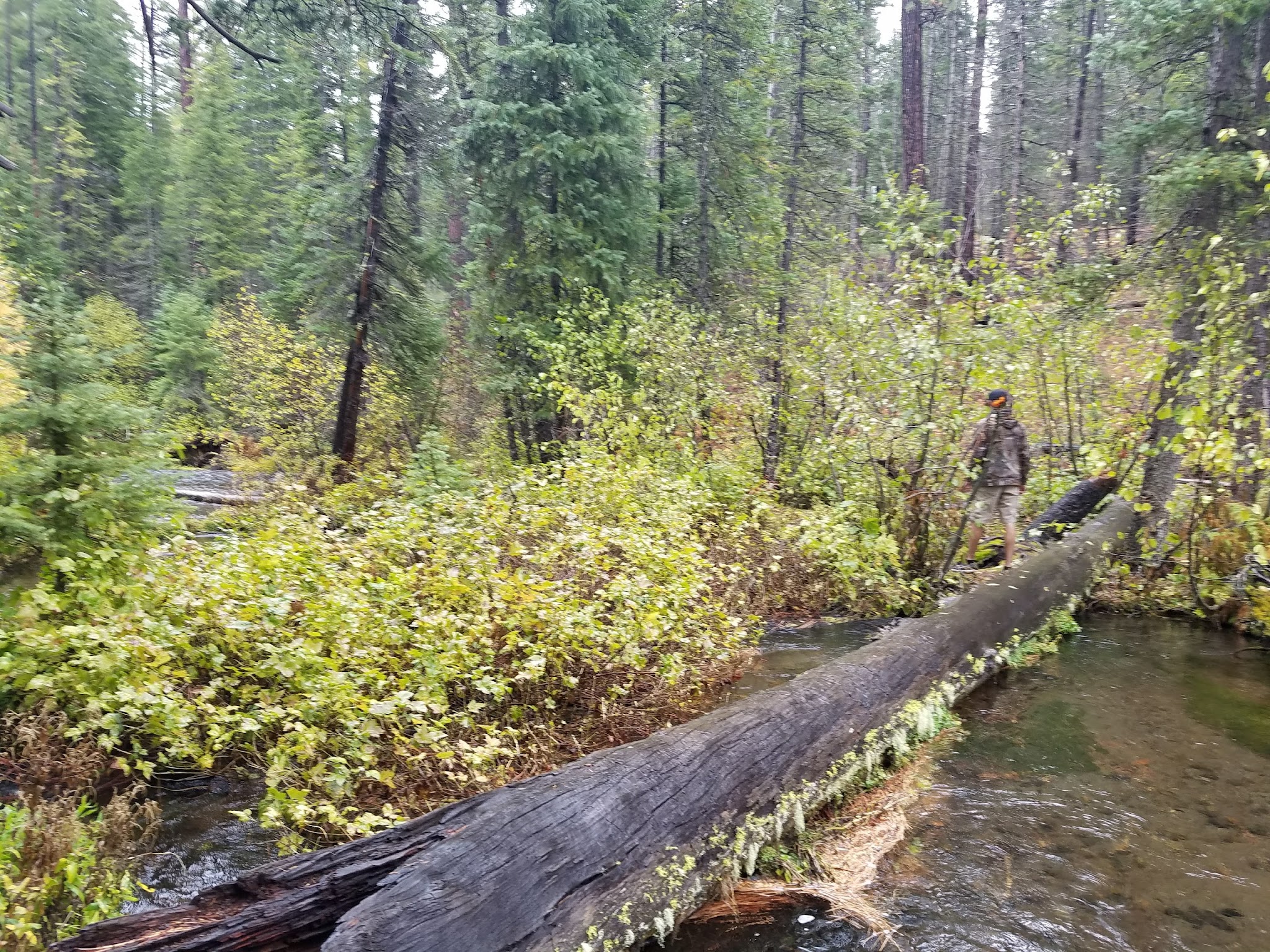 Jack Creek Campground