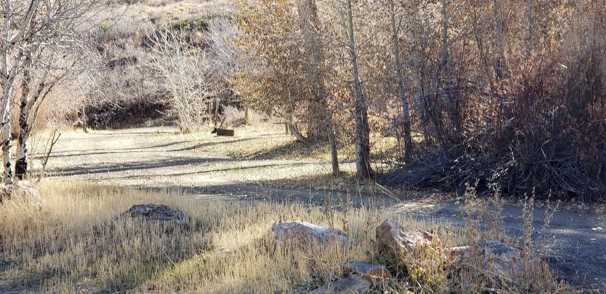 Jack Creek Campground