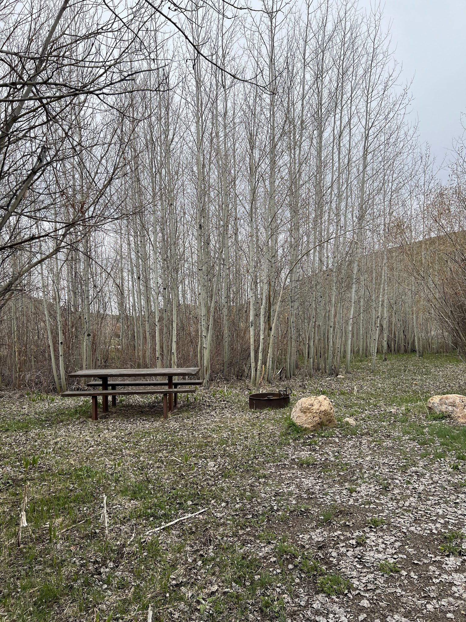 Jack Creek Campground