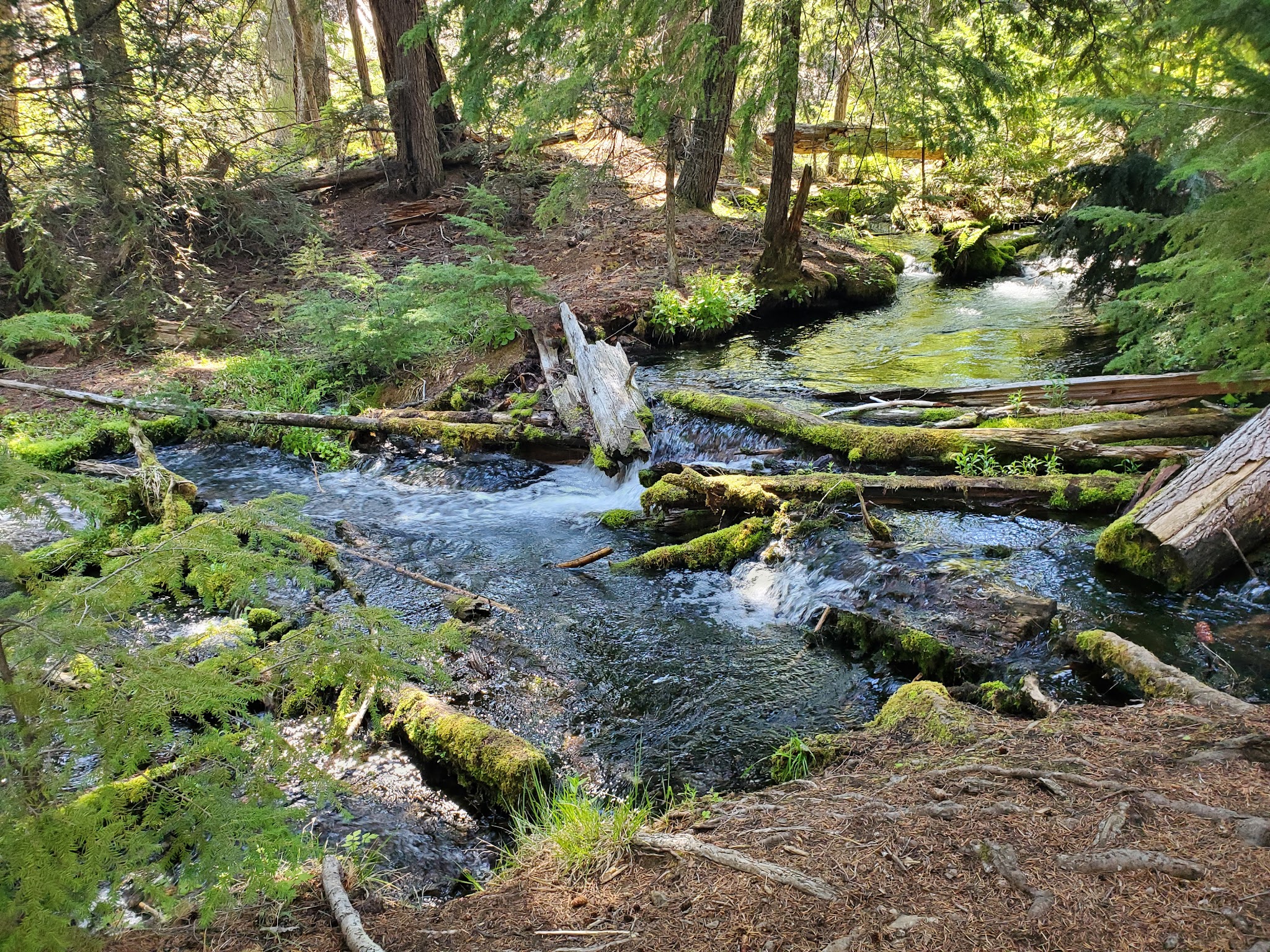 Jack Creek Campground