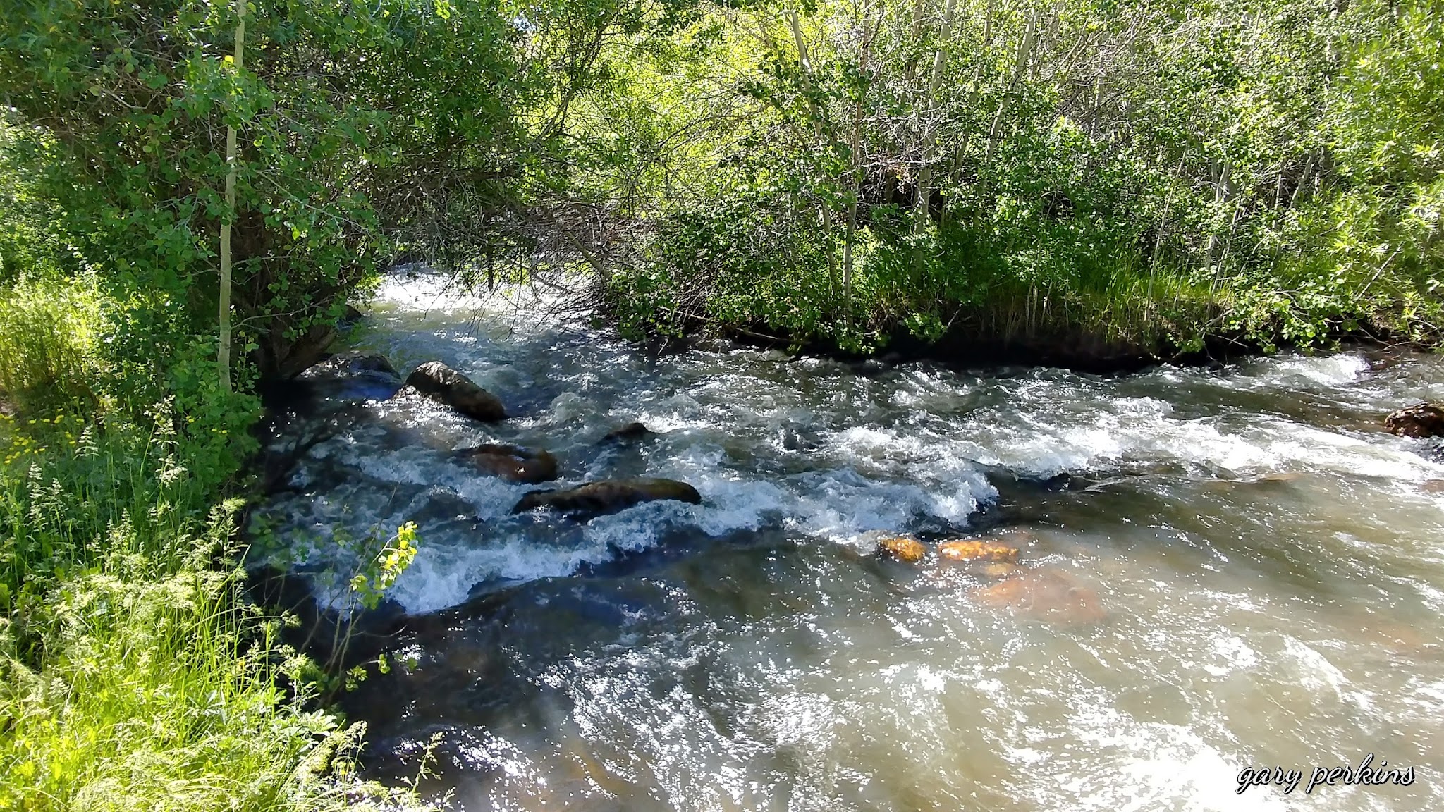 Jack Creek Campground
