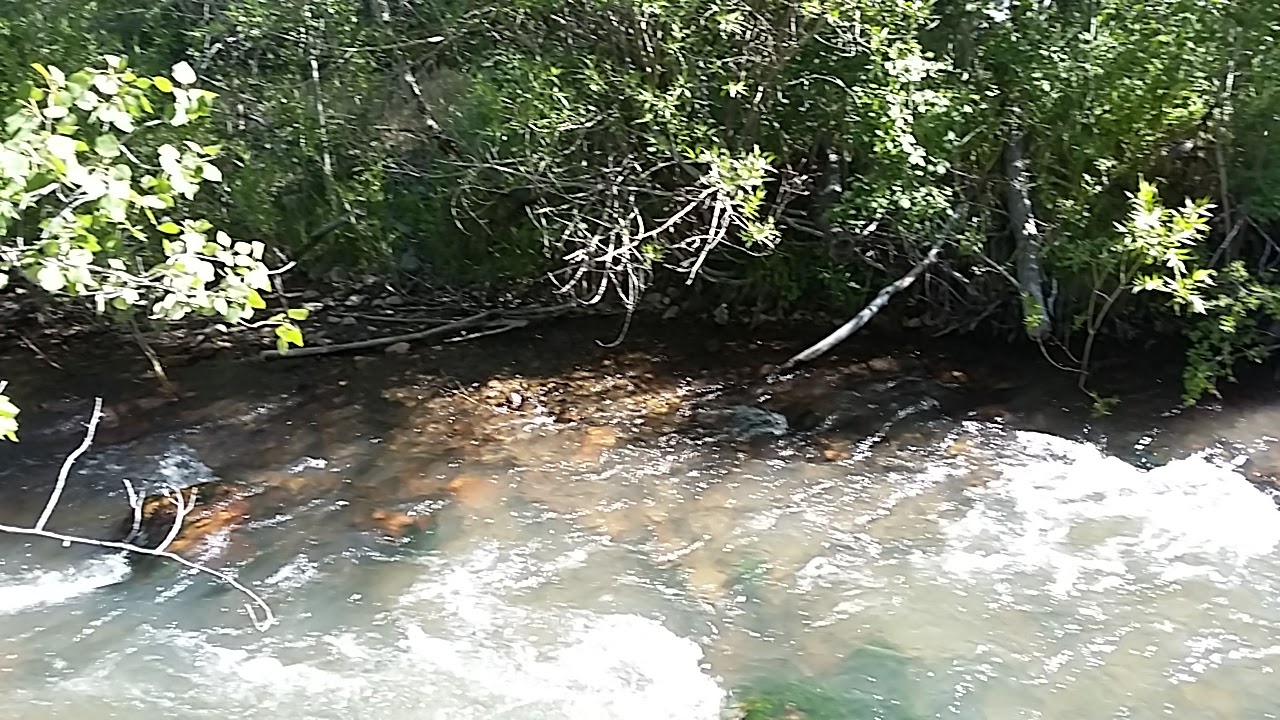 Jack Creek Campground