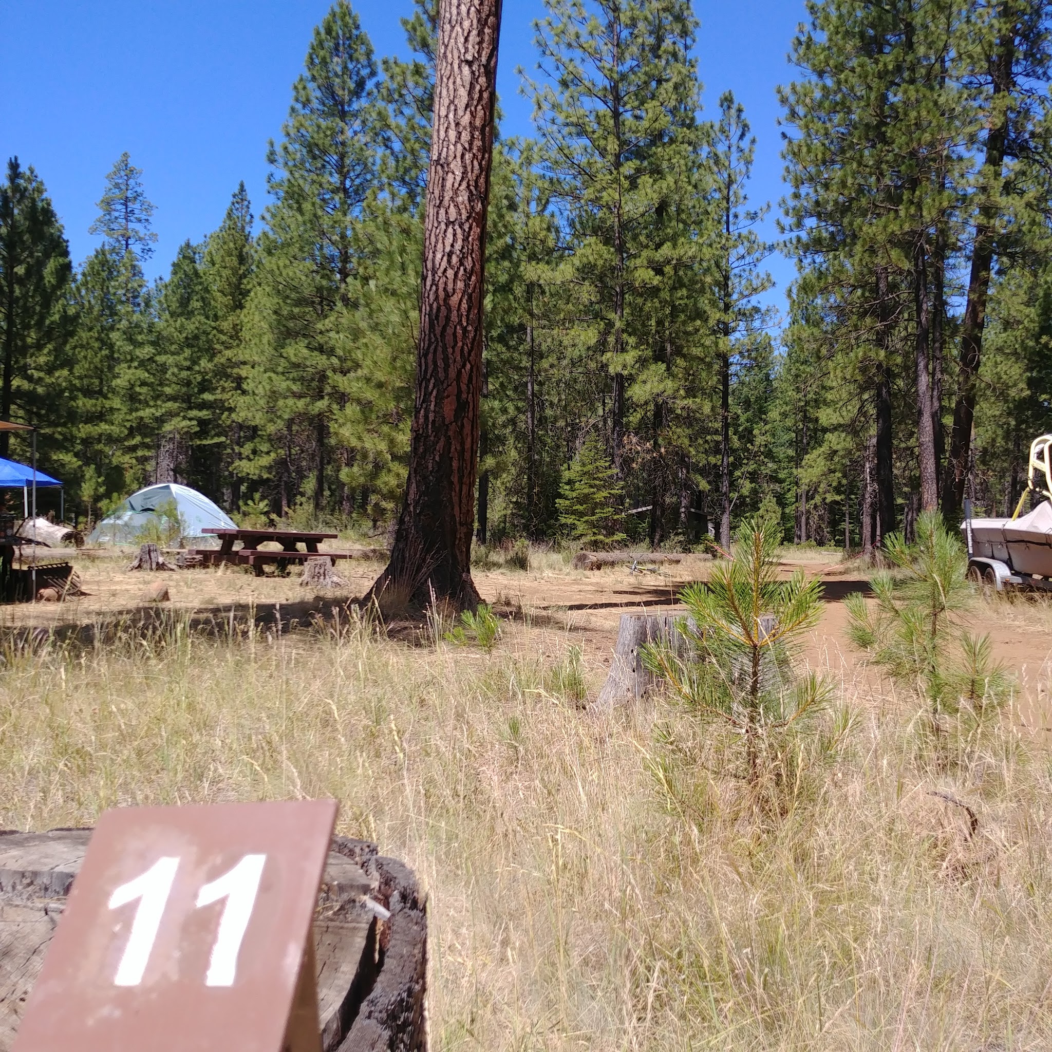 Jack Creek Campground