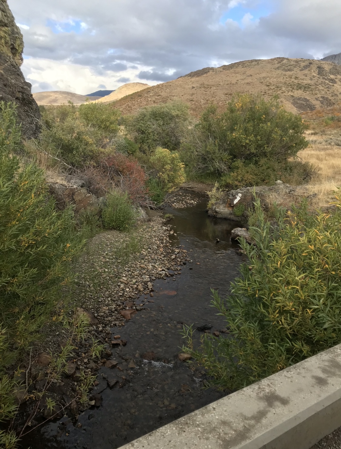 Jack Creek Campground