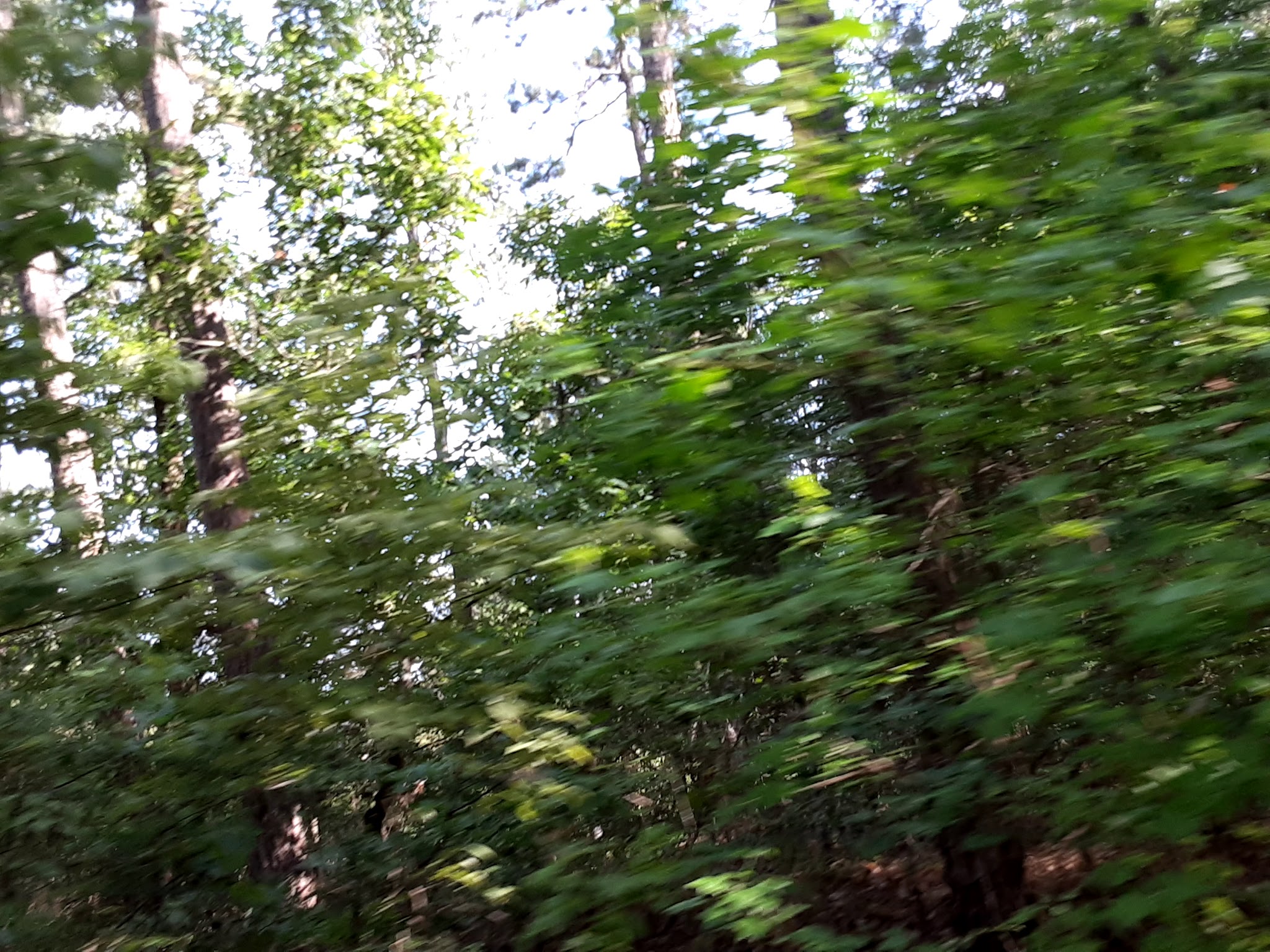 Jack Creek Recreation Area