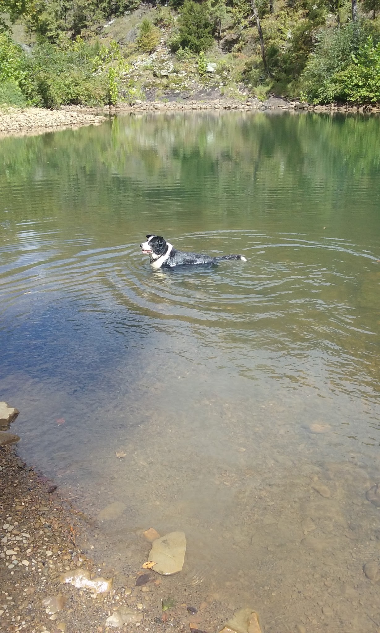 Jack Creek Recreation Area